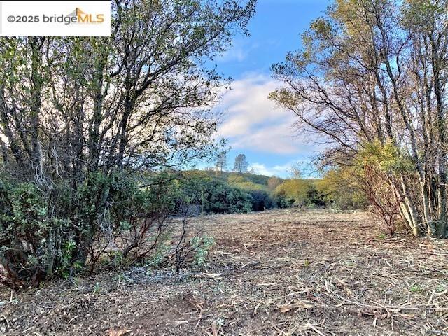 17290 Anderson St & Hwy 120, Big Oak Flat, California 95305, ,Land,For Sale,17290 Anderson St & Hwy 120,41101526