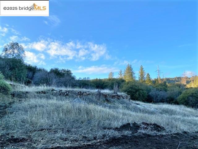 17290 Anderson St & Hwy 120, Big Oak Flat, California 95305, ,Land,For Sale,17290 Anderson St & Hwy 120,41101526