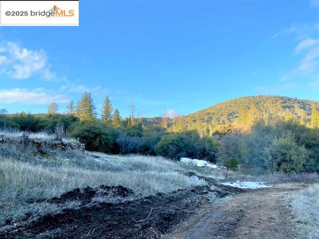 17290 Anderson St & Hwy 120, Big Oak Flat, California 95305, ,Land,For Sale,17290 Anderson St & Hwy 120,41101526