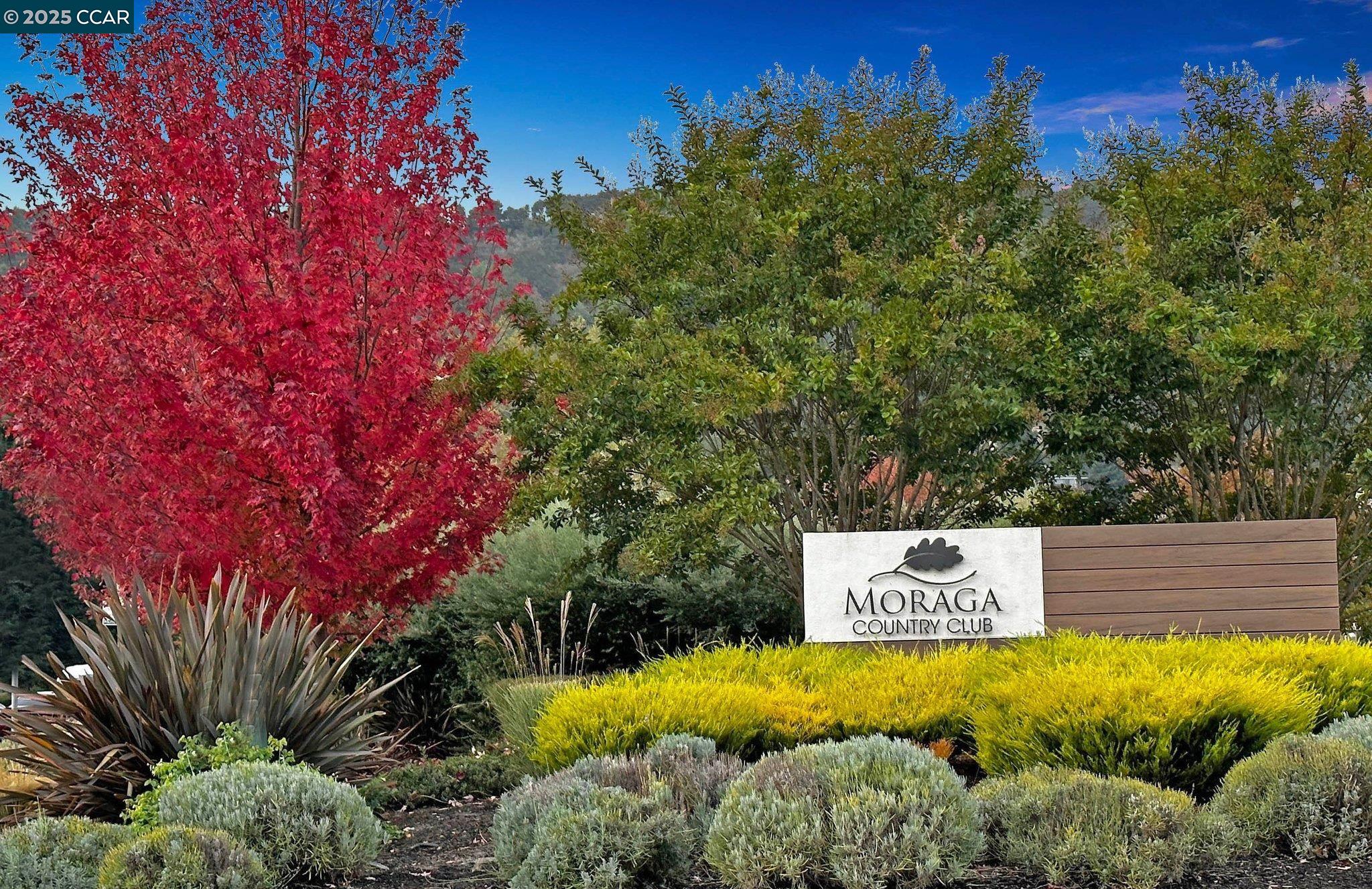 Detail Gallery Image 8 of 18 For 20 Tamarisk, Moraga,  CA 94556 - 4 Beds | 2/1 Baths