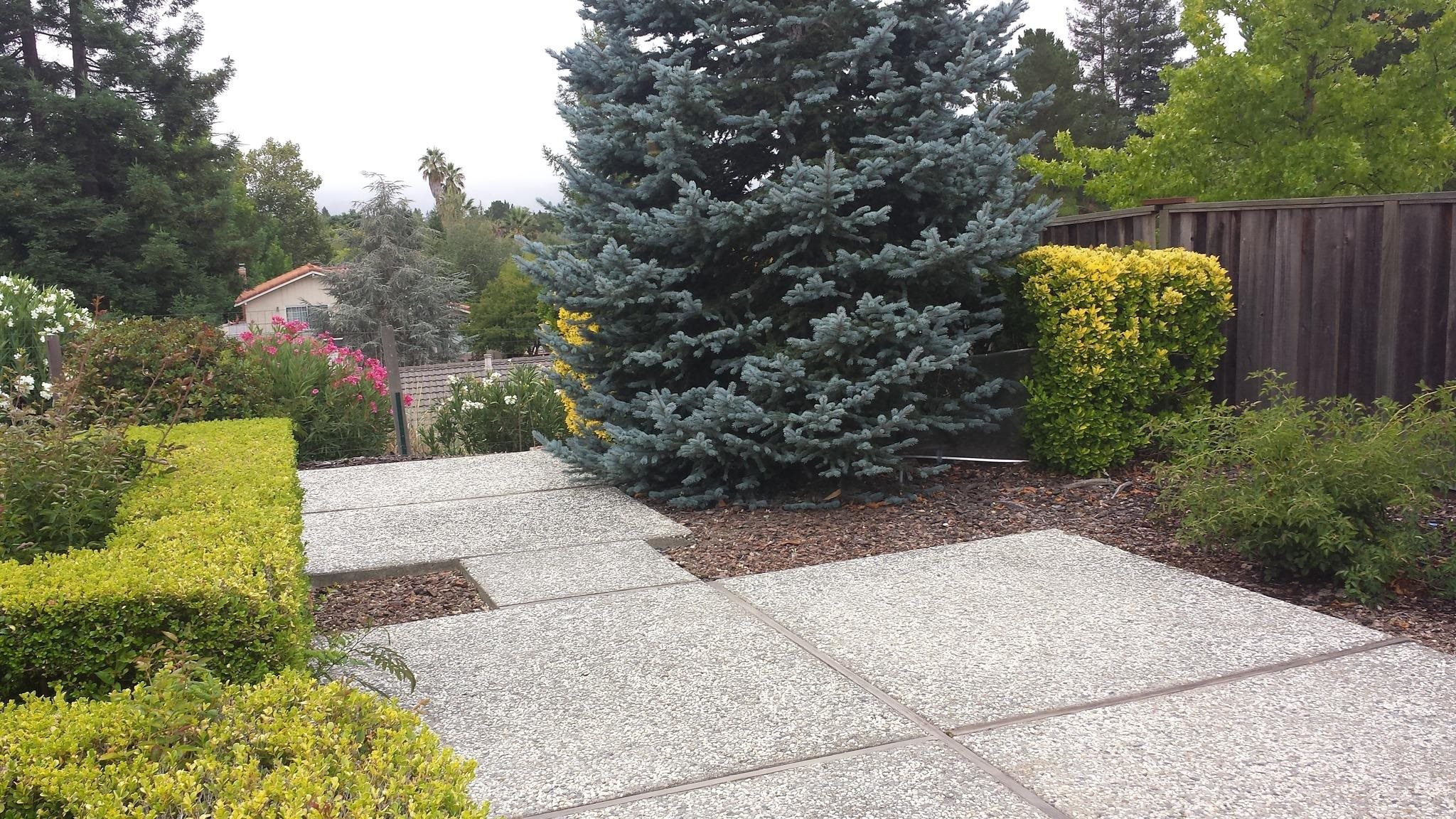 Detail Gallery Image 30 of 30 For Century Way, Danville,  CA 94526-5336 - 6 Beds | 3 Baths