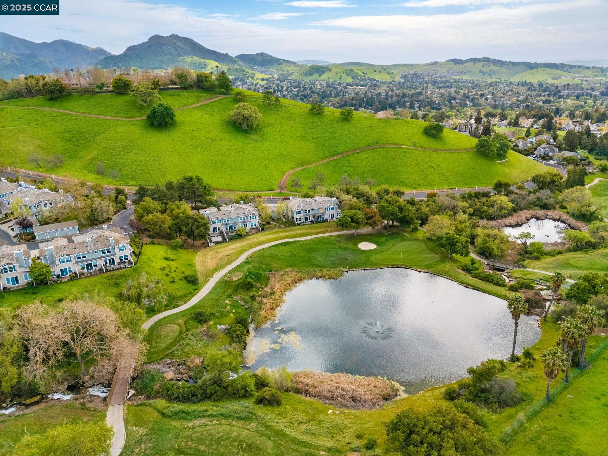 Front Image Thumbnail for CC41101575