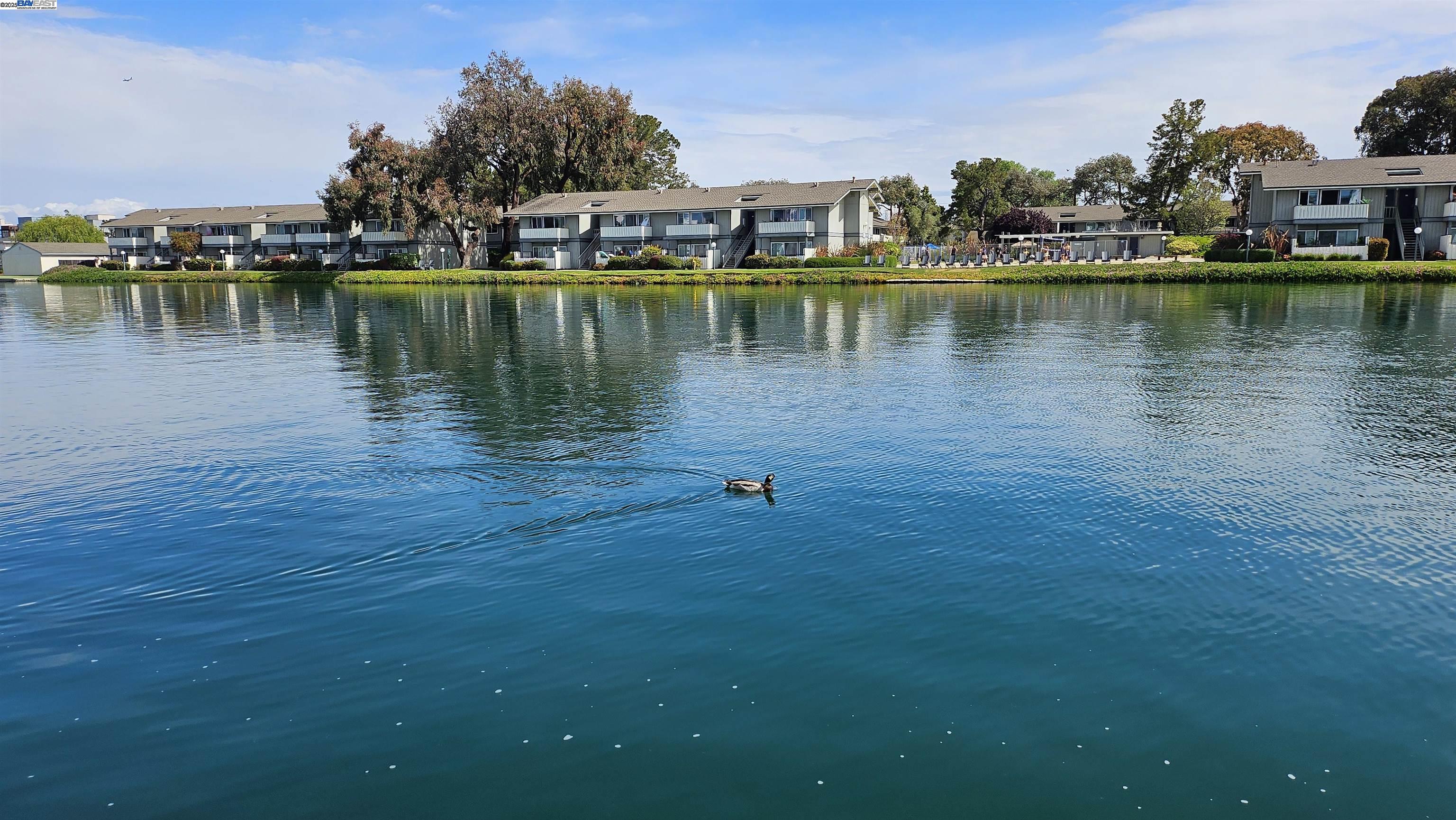 Detail Gallery Image 7 of 15 For 1019 Lido Ln, Foster City,  CA 94404 - 3 Beds | 2/1 Baths