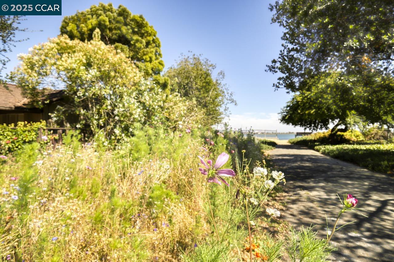 Detail Gallery Image 54 of 56 For 1349 Eastshore Dr, Alameda,  CA 94501 - 3 Beds | 3 Baths