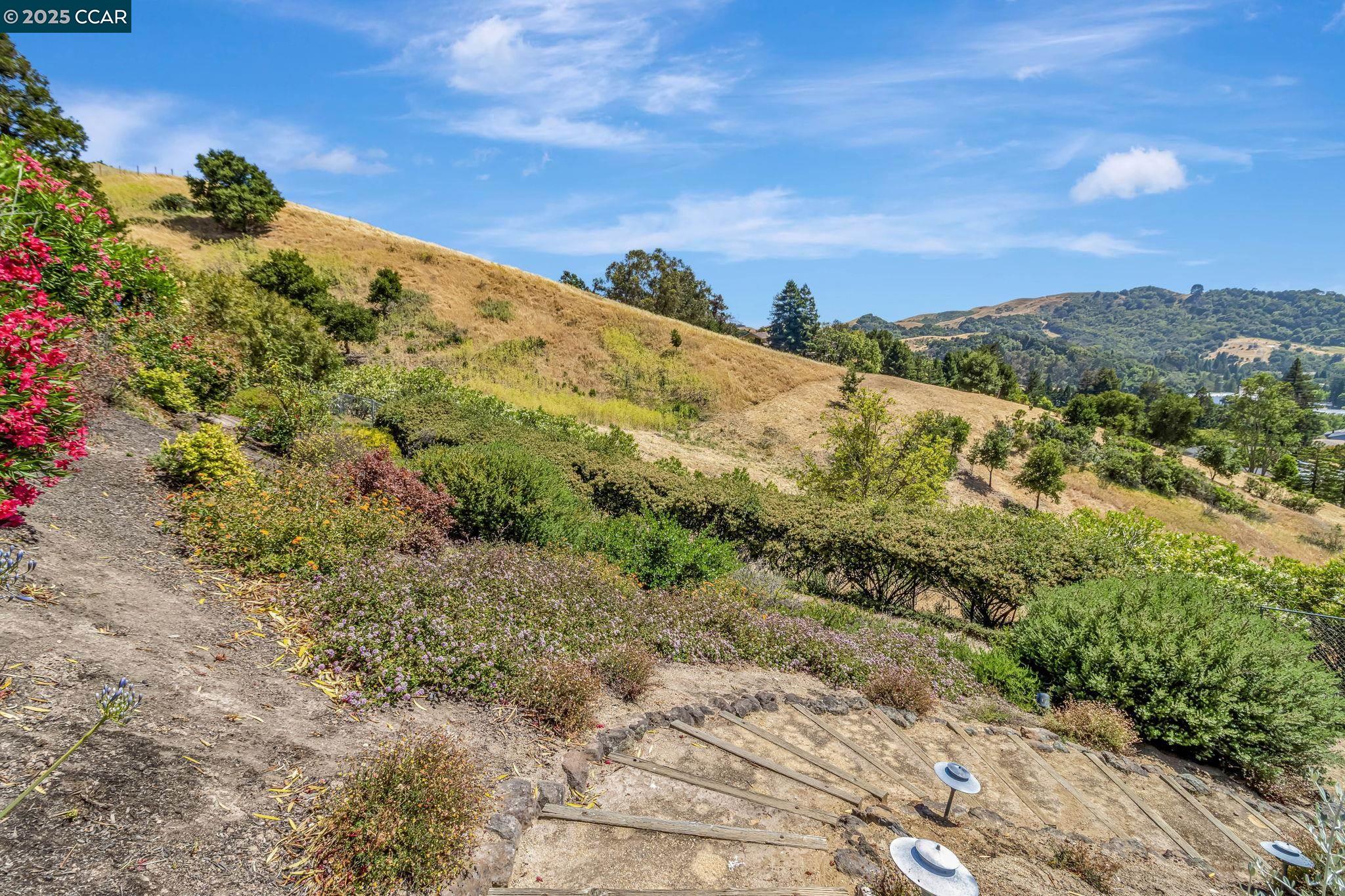 Detail Gallery Image 55 of 60 For 1960 Joseph Dr, Moraga,  CA 94556 - 5 Beds | 2/1 Baths