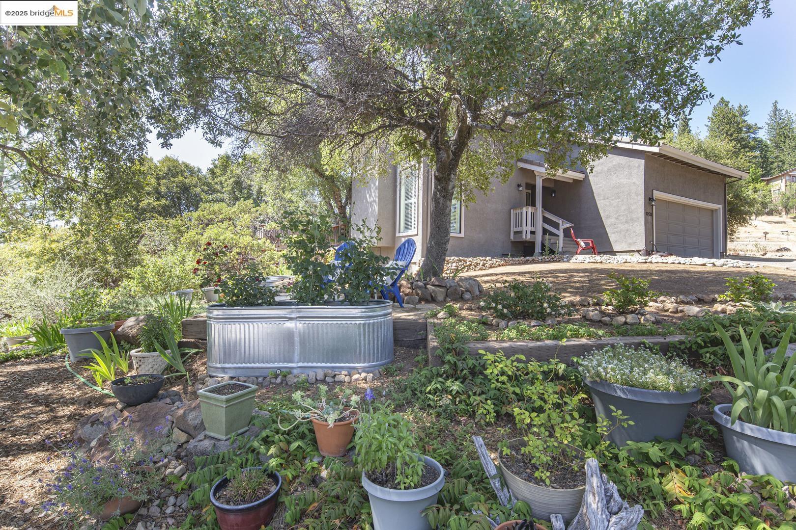 Detail Gallery Image 11 of 53 For 1203 Laurel Ln, Murphys,  CA 95247 - 4 Beds | 2/1 Baths