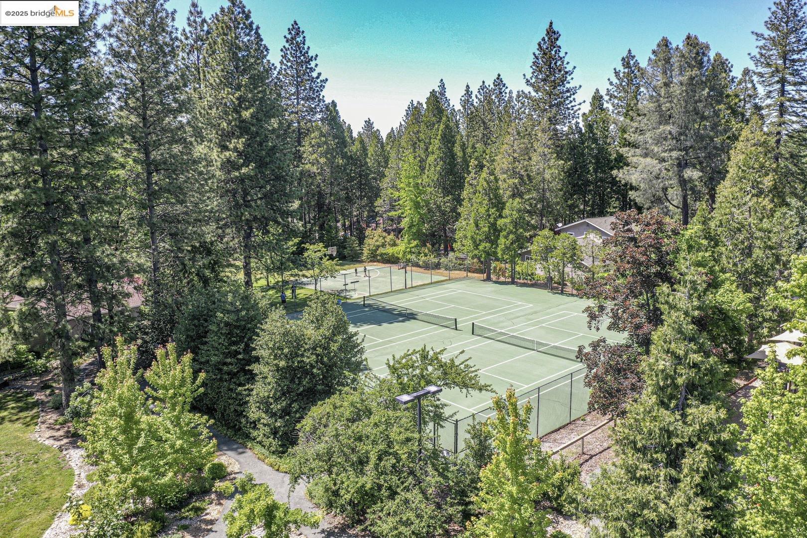 Detail Gallery Image 50 of 53 For 1203 Laurel Ln, Murphys,  CA 95247 - 4 Beds | 2/1 Baths