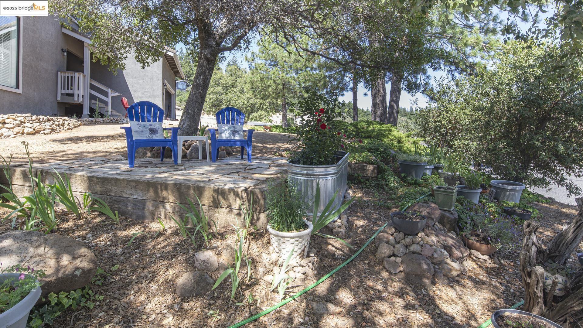 Detail Gallery Image 10 of 53 For 1203 Laurel Ln, Murphys,  CA 95247 - 4 Beds | 2/1 Baths
