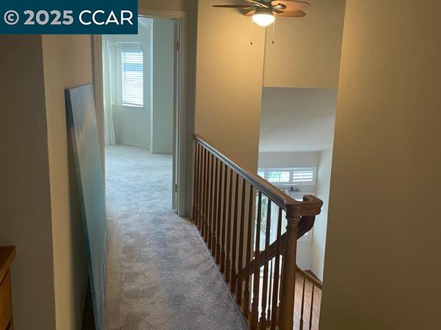 1328 Shell Ln, Clayton, California 94517, 3 Bedrooms Bedrooms, 8 Rooms Rooms,2 BathroomsBathrooms,Residential Lease,For Rent,1328 Shell Ln,41101730