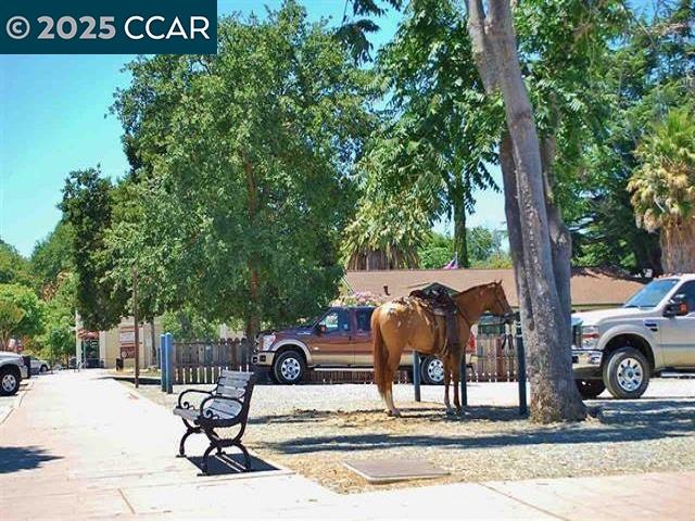 1328 Shell Ln, Clayton, California 94517, 3 Bedrooms Bedrooms, 8 Rooms Rooms,2 BathroomsBathrooms,Residential Lease,For Rent,1328 Shell Ln,41101730