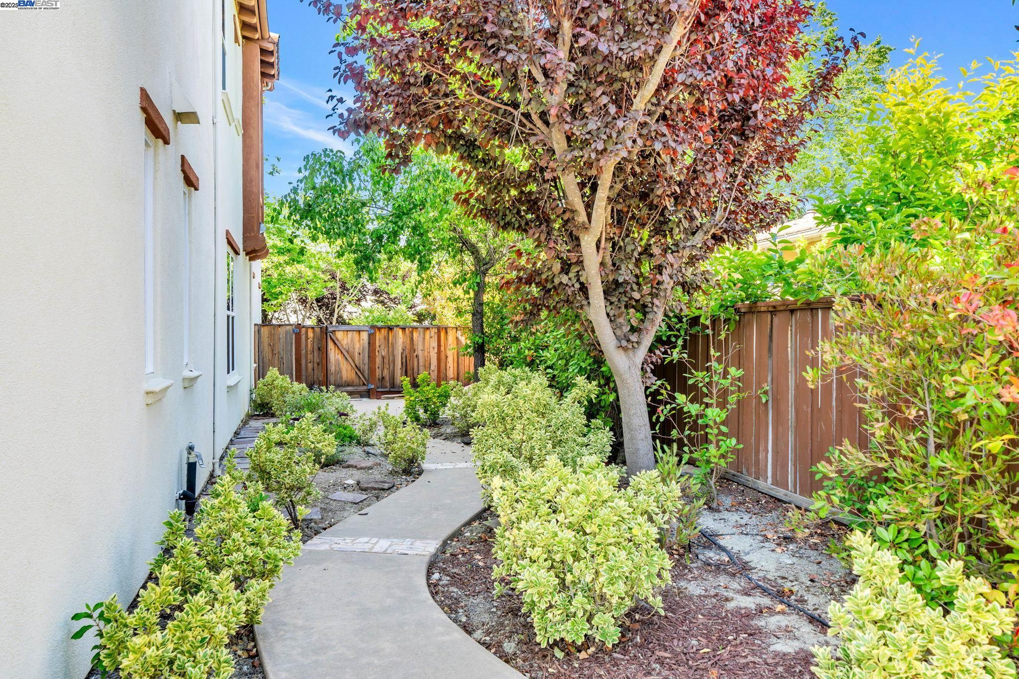 2048 Feathermint Dr, San Ramon, California 94582, 6 Bedrooms Bedrooms, 13 Rooms Rooms,3 BathroomsBathrooms,Residential Lease,For Rent,2048 Feathermint Dr,41101769