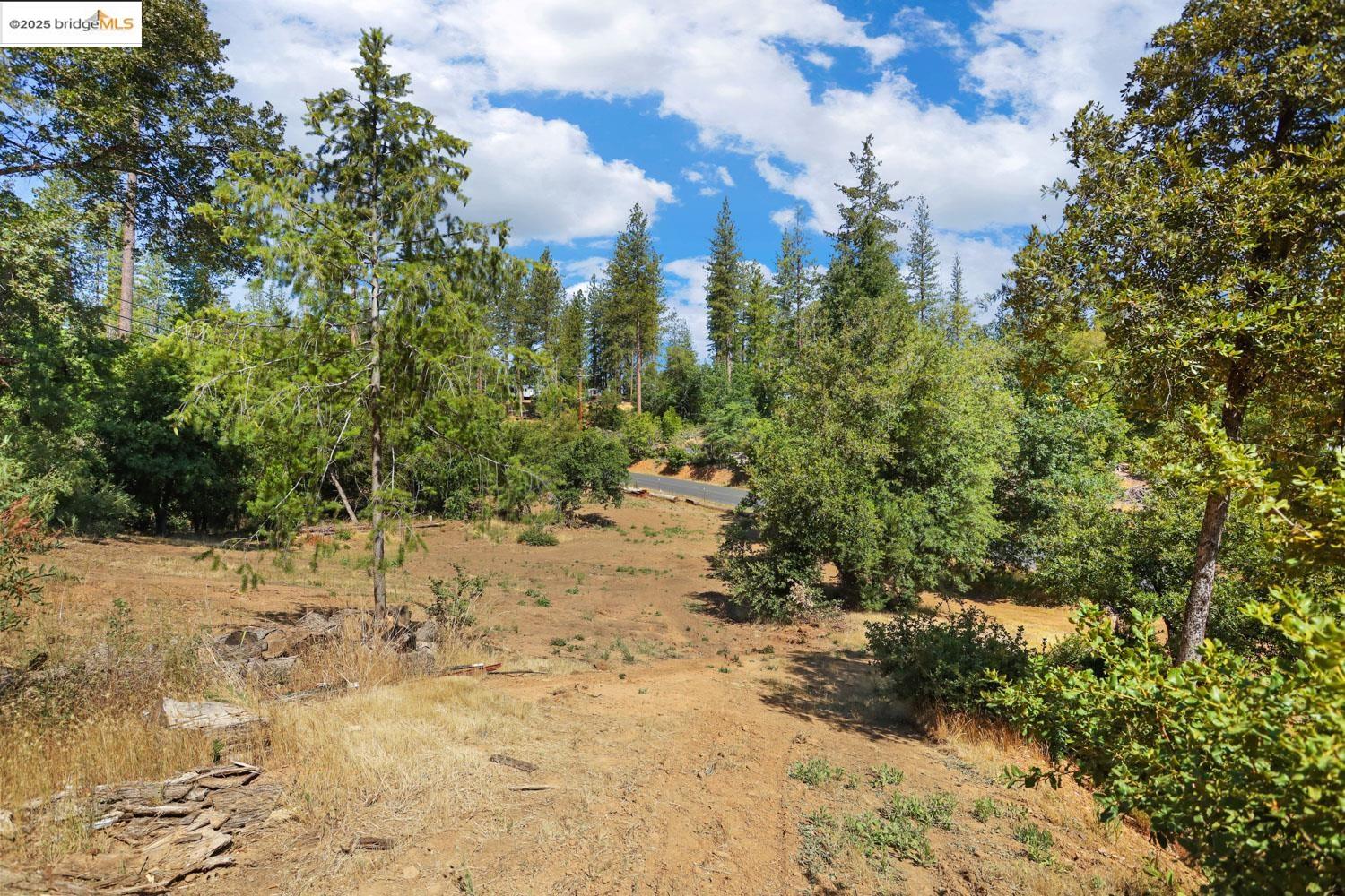 Detail Gallery Image 19 of 58 For 19725 Old Highway 120, Groveland,  CA 95321 - 4 Beds | 2 Baths
