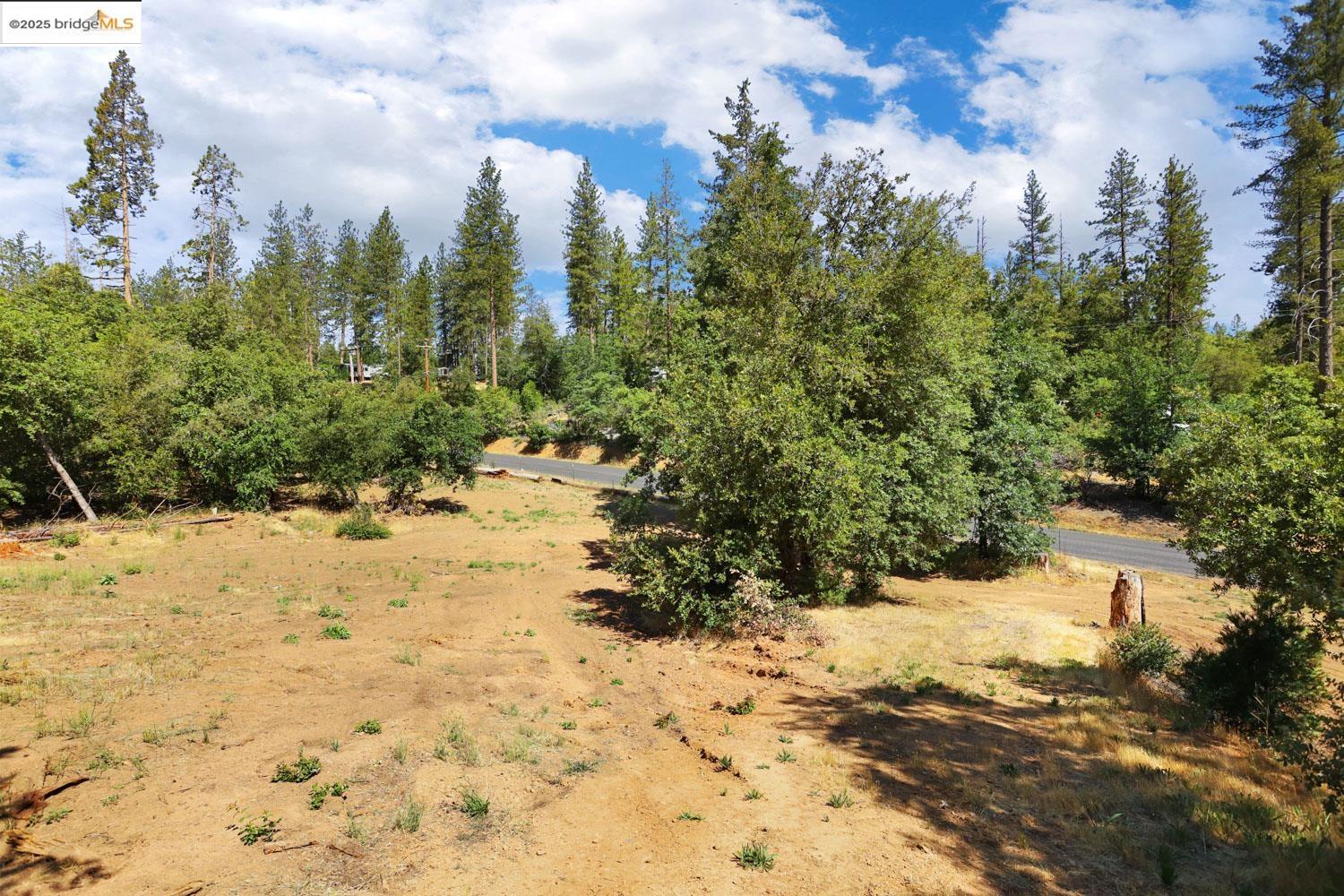 Detail Gallery Image 20 of 58 For 19725 Old Highway 120, Groveland,  CA 95321 - 4 Beds | 2 Baths