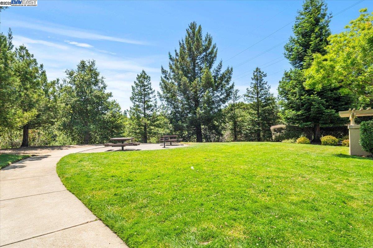 Detail Gallery Image 47 of 53 For 23110 Canyon Terrace Dr, Castro Valley,  CA 94552 - 3 Beds | 2/1 Baths