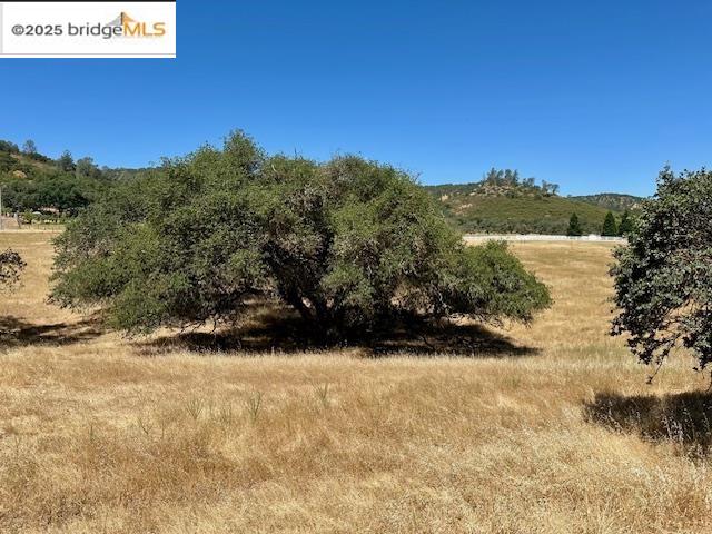 Detail Gallery Image 22 of 29 For 1965 Stagecoach Rd, Copperopolis,  CA 95228 - – Beds | – Baths