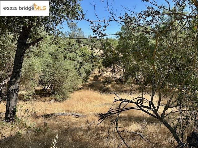 Detail Gallery Image 24 of 29 For 1965 Stagecoach Rd, Copperopolis,  CA 95228 - – Beds | – Baths