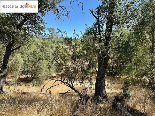 Detail Gallery Image 25 of 29 For 1965 Stagecoach Rd, Copperopolis,  CA 95228 - – Beds | – Baths