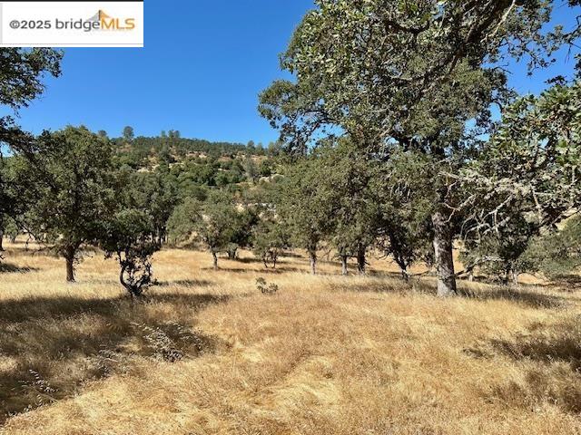 Detail Gallery Image 26 of 29 For 1965 Stagecoach Rd, Copperopolis,  CA 95228 - – Beds | – Baths