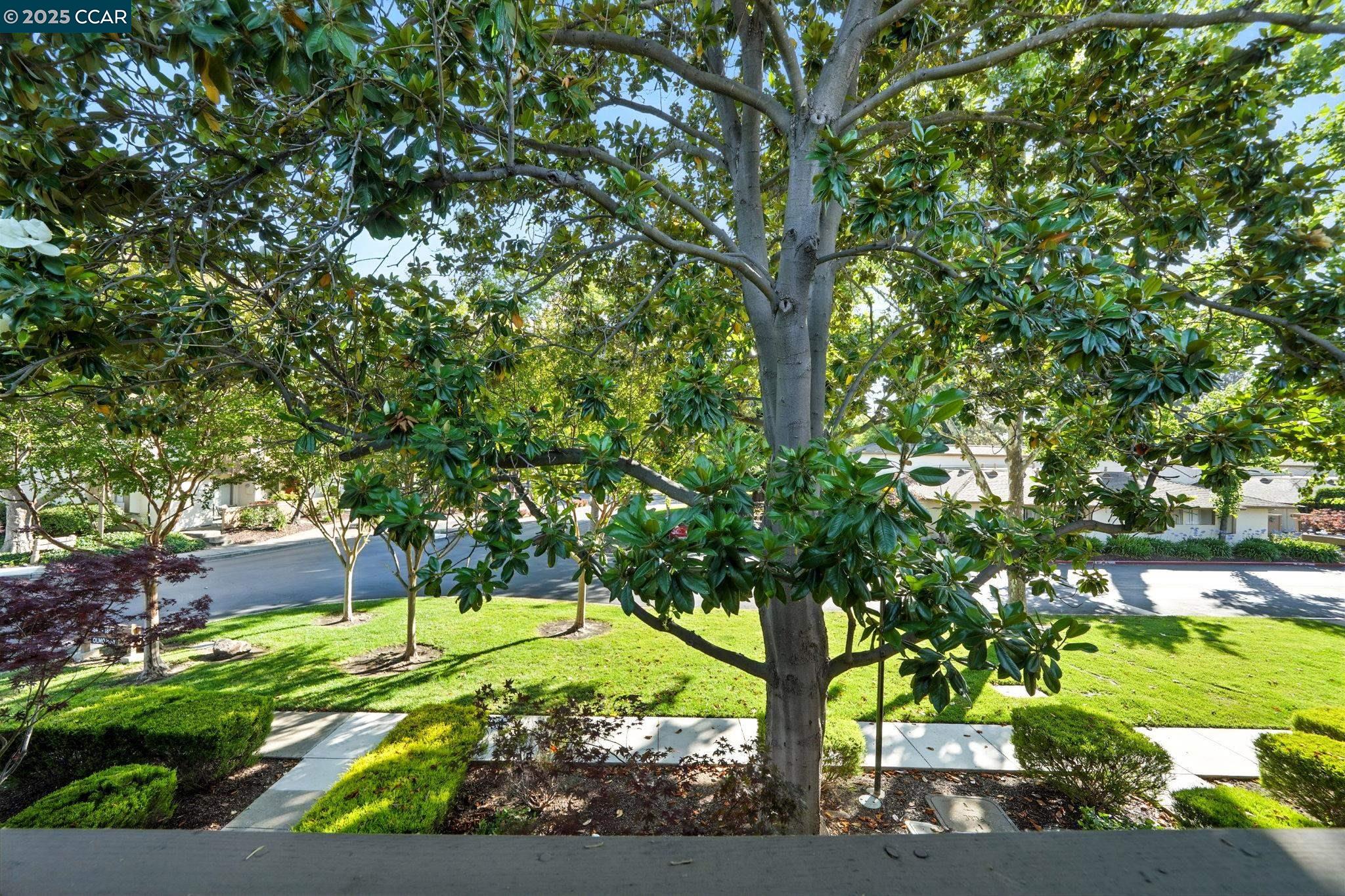 Detail Gallery Image 24 of 27 For 1861 Olmo Way, Walnut Creek,  CA 94598 - 2 Beds | 1/1 Baths