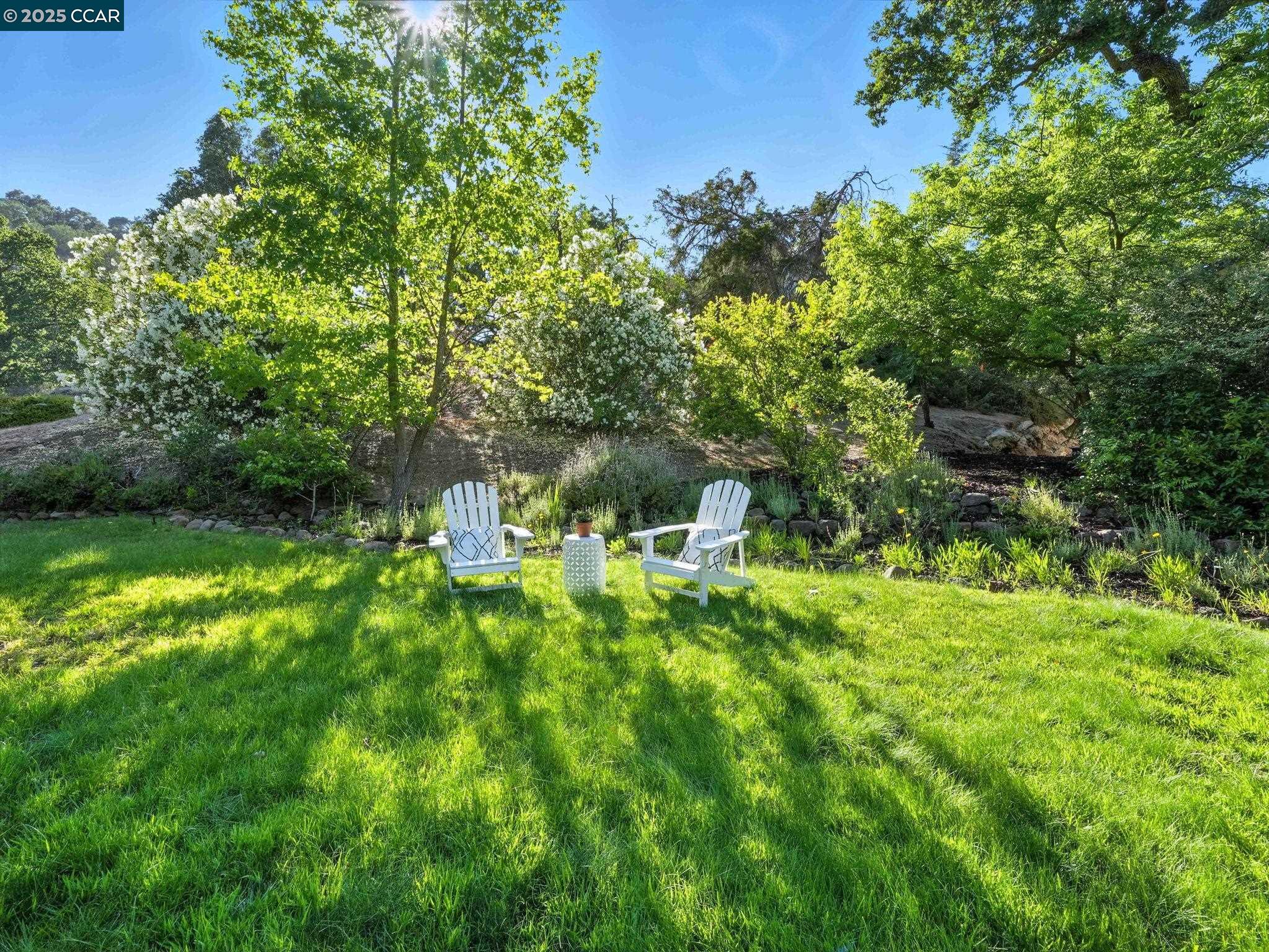 Detail Gallery Image 60 of 60 For 1542 Hillgrade Ave, Alamo,  CA 94507 - 4 Beds | 2/1 Baths