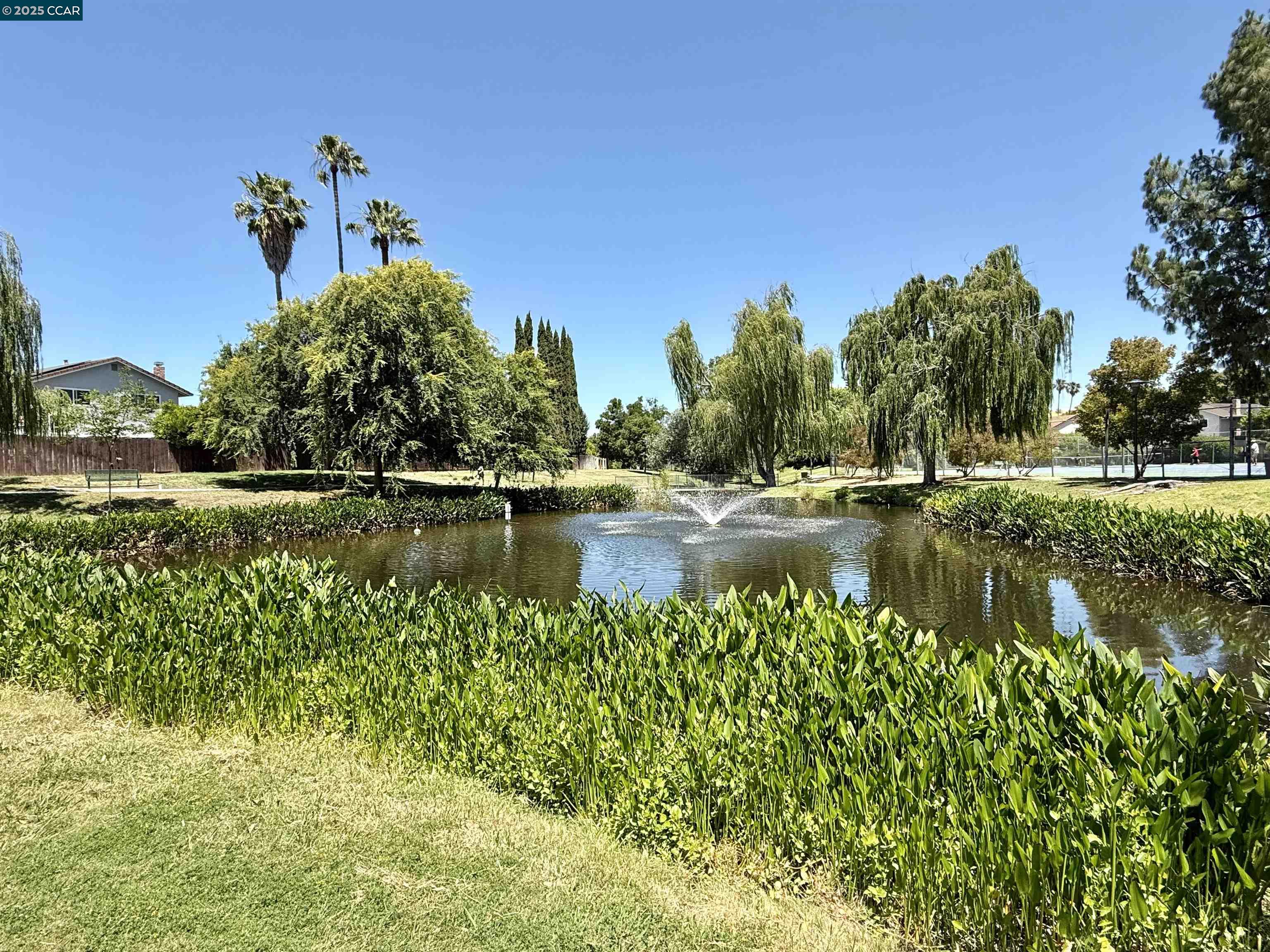 Detail Gallery Image 33 of 45 For 4513 Birch Bark Rd, Concord,  CA 94521 - 3 Beds | 2 Baths