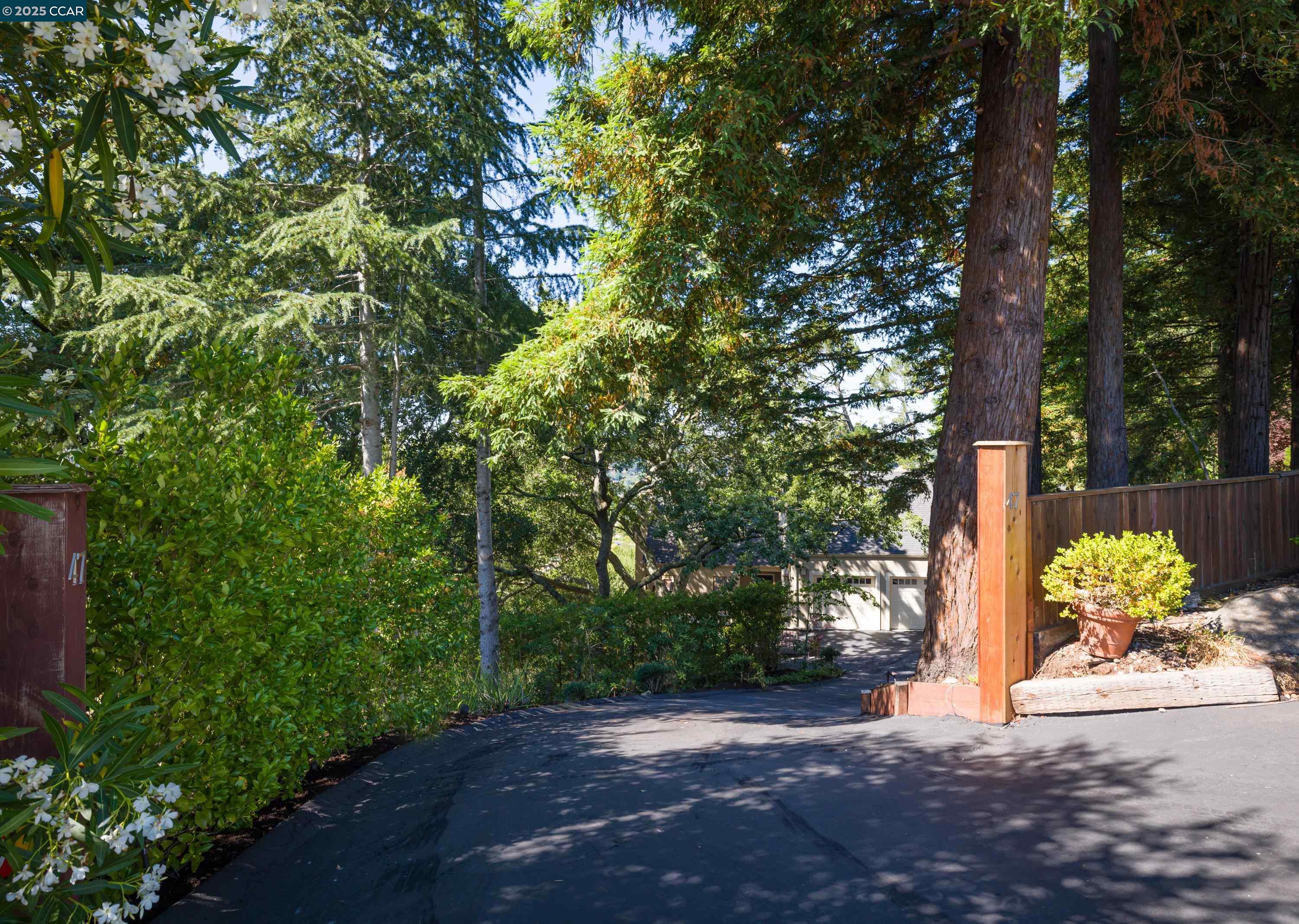 47 El Gavilan Rd., Orinda, California 94563, 4 Bedrooms Bedrooms, 10 Rooms Rooms,2 BathroomsBathrooms,Residential Lease,For Rent,47 El Gavilan Rd.,41101906