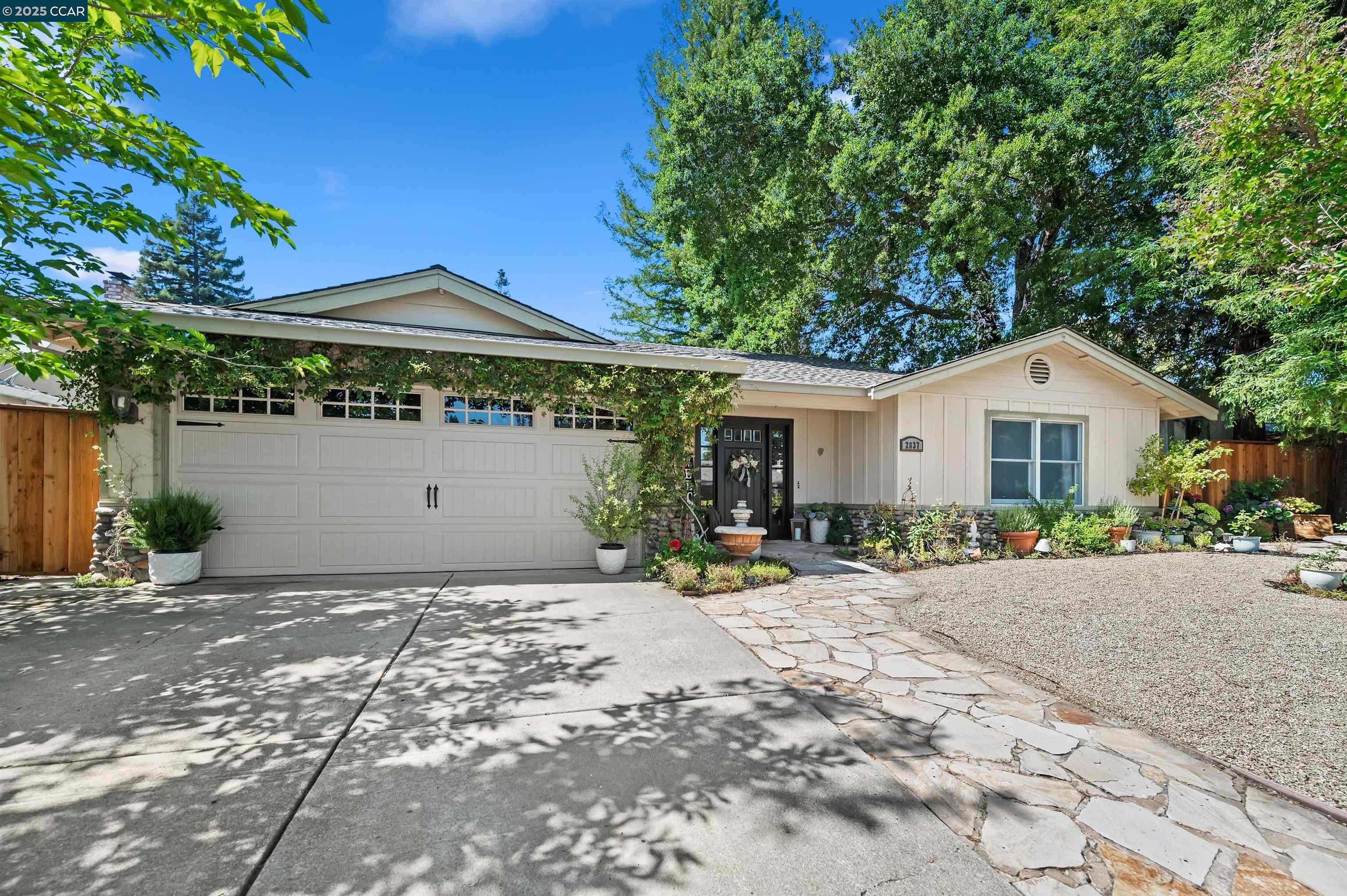 Front Image Thumbnail for CC41101917