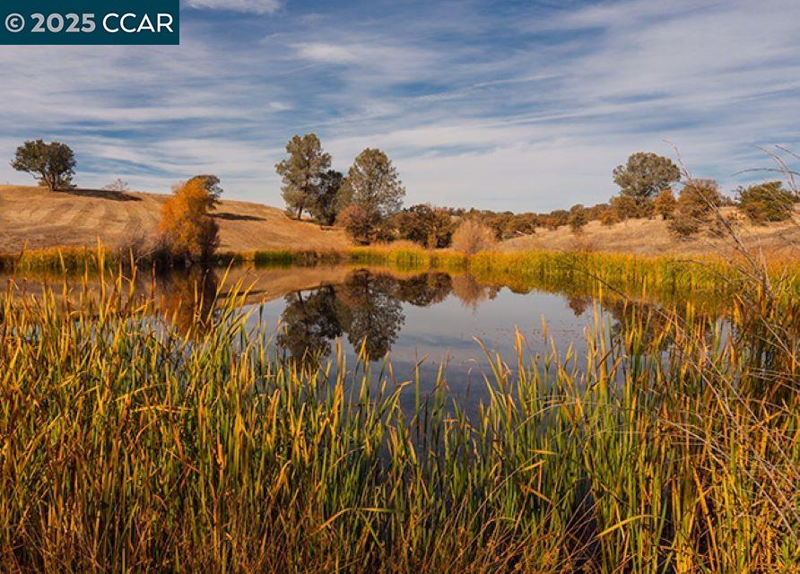 Detail Gallery Image 11 of 47 For 223 Quail Creek Terrace, Copperopolis,  CA 95228 - 2 Beds | 2/1 Baths