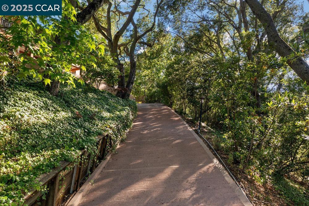 Detail Gallery Image 58 of 60 For 3949 Canyon Rd, Lafayette,  CA 94549-2701 - 5 Beds | 5/1 Baths