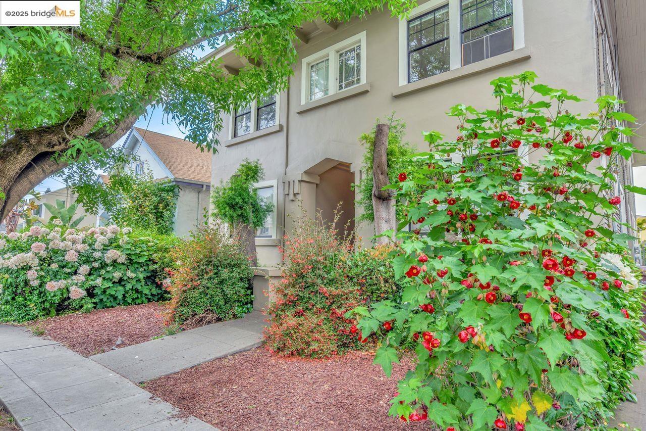 Detail Gallery Image 3 of 60 For 5537 Claremont Ave, Oakland,  CA 94618 - – Beds | – Baths