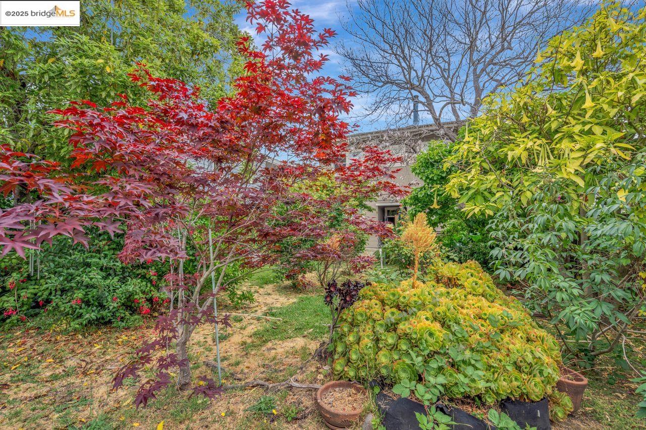 Detail Gallery Image 59 of 60 For 5537 Claremont Ave, Oakland,  CA 94618 - – Beds | – Baths