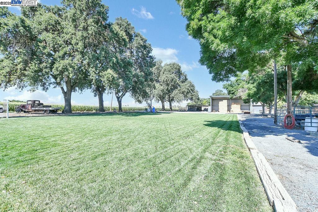 Detail Gallery Image 53 of 55 For 3335 Kellogg Creek Rd, Byron,  CA 94514 - 5 Beds | 4 Baths