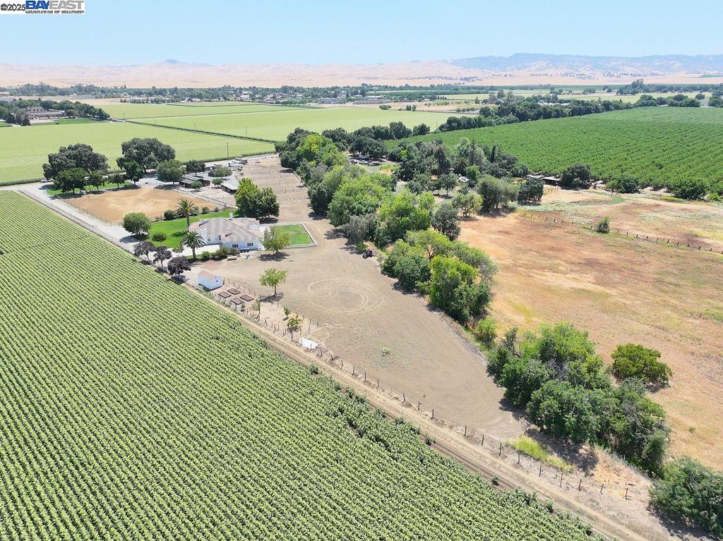 Detail Gallery Image 9 of 55 For 3335 Kellogg Creek Rd, Byron,  CA 94514 - 5 Beds | 4 Baths
