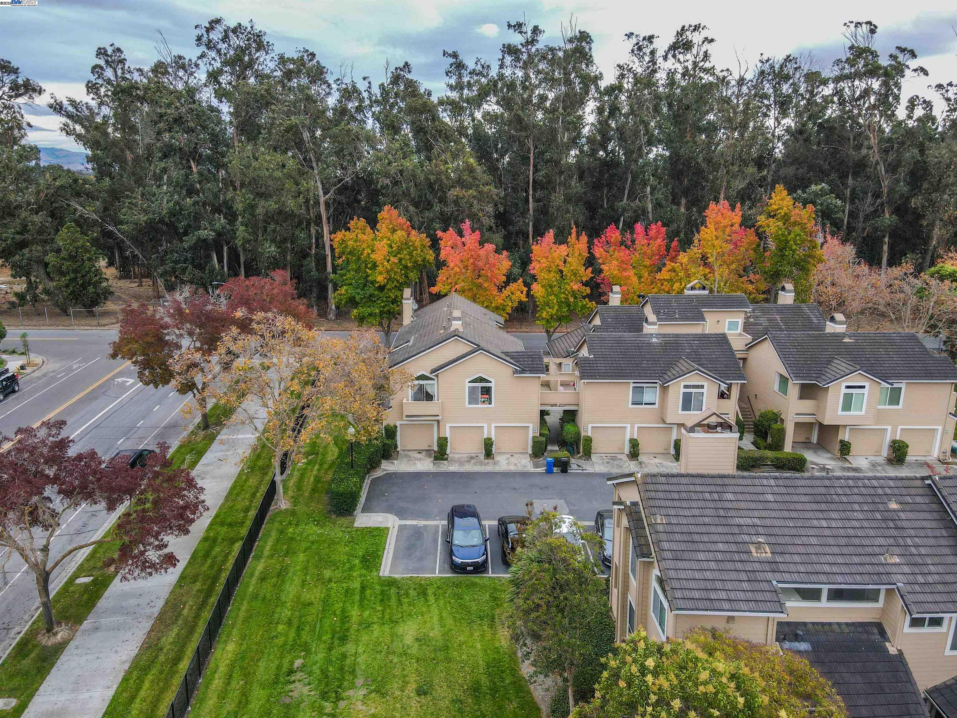 Photo #4: 41102059 Listing: Photo #4
