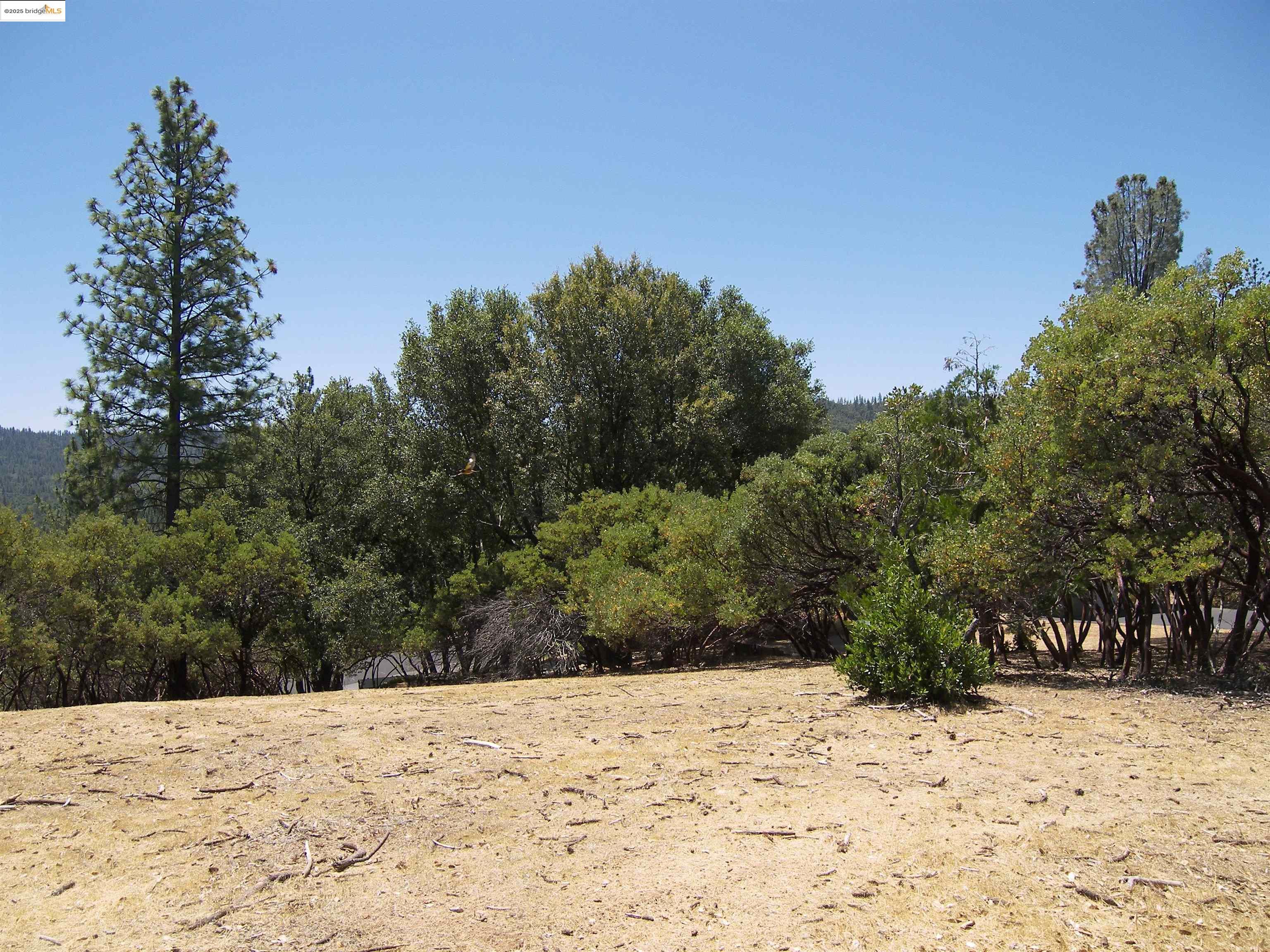 Detail Gallery Image 2 of 19 For 12065 Alcan Ct., Groveland,  CA 95321 - – Beds | – Baths
