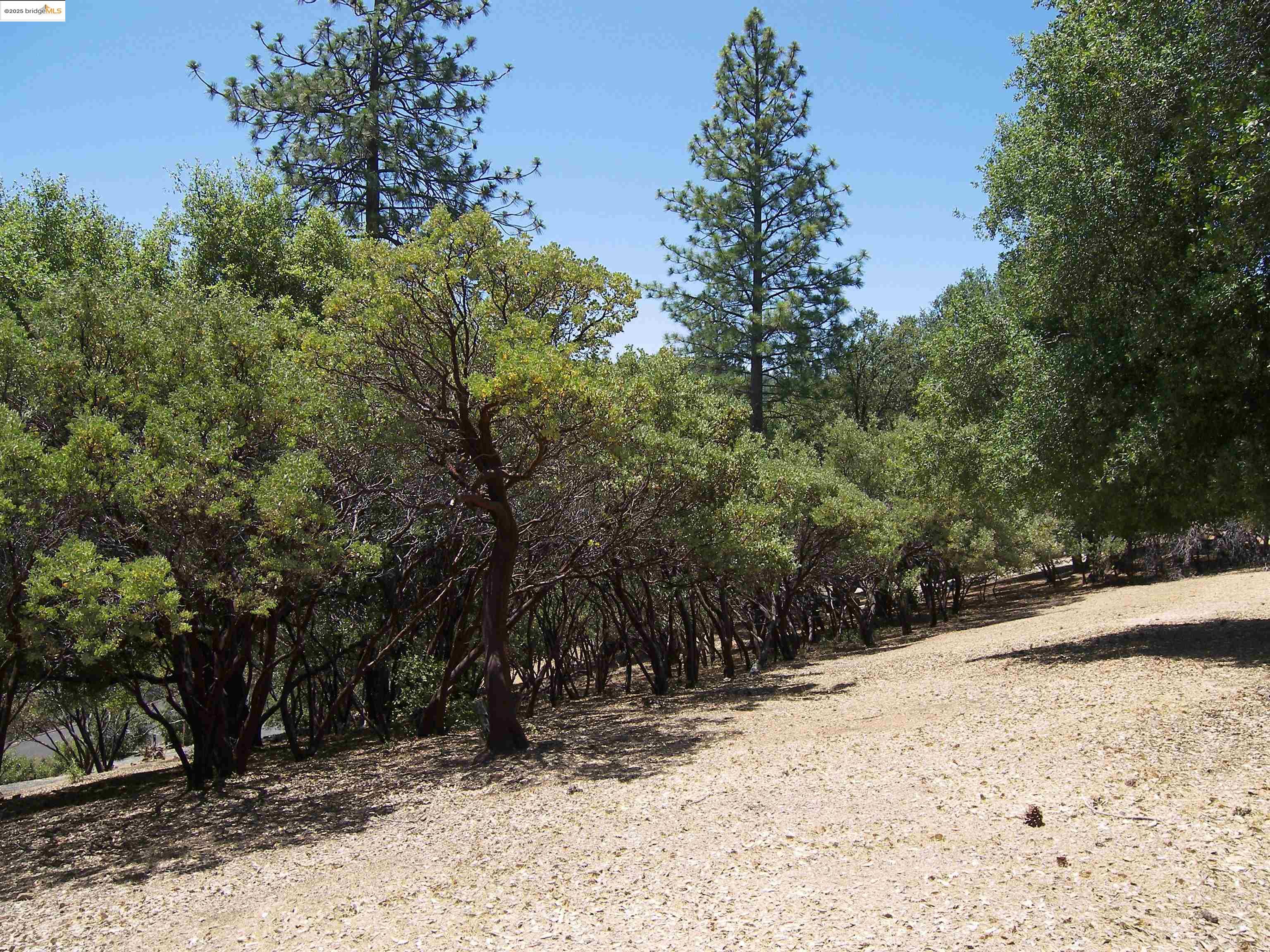 Detail Gallery Image 9 of 19 For 12065 Alcan Ct., Groveland,  CA 95321 - – Beds | – Baths
