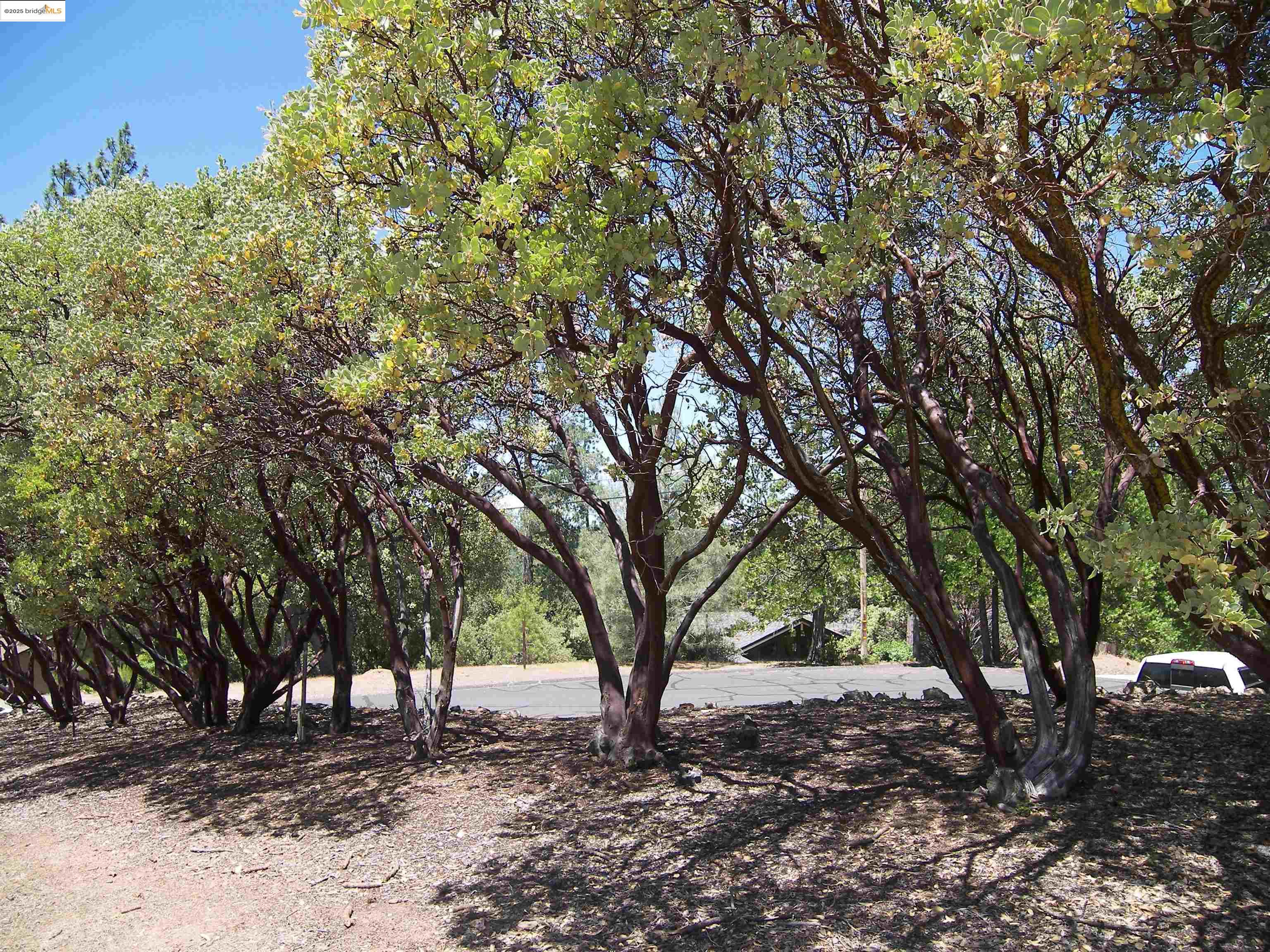 Detail Gallery Image 10 of 19 For 12065 Alcan Ct., Groveland,  CA 95321 - – Beds | – Baths