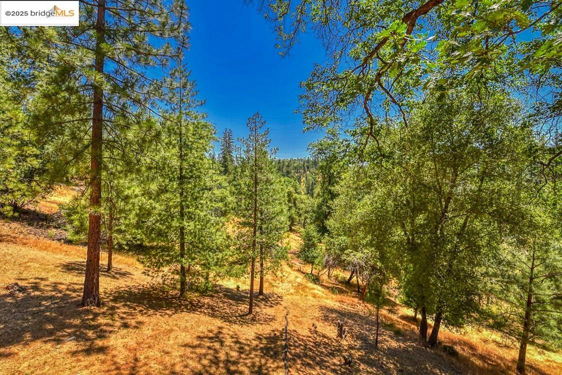 Detail Gallery Image 5 of 28 For 20830 Point View Dr, Groveland,  CA 95321 - 3 Beds | 2/1 Baths