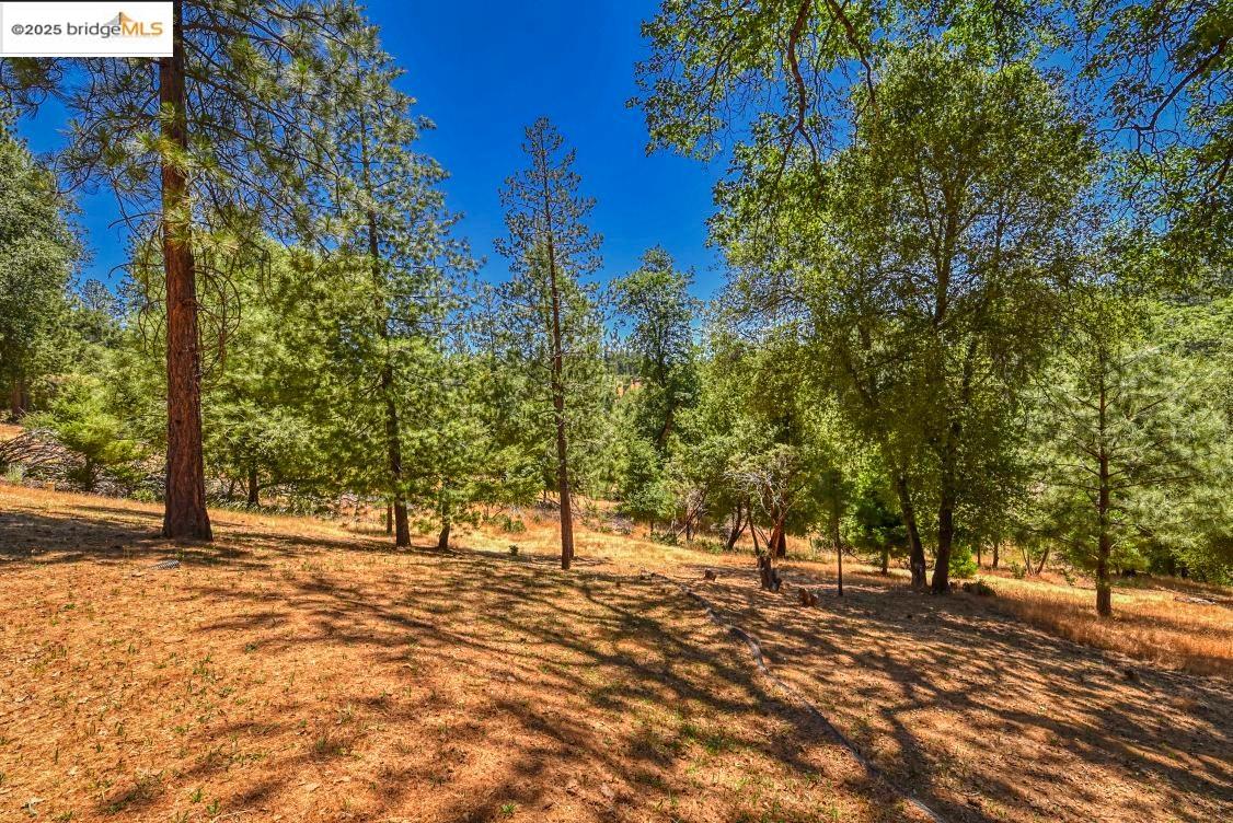 Detail Gallery Image 7 of 28 For 20830 Point View Dr, Groveland,  CA 95321 - 3 Beds | 2/1 Baths