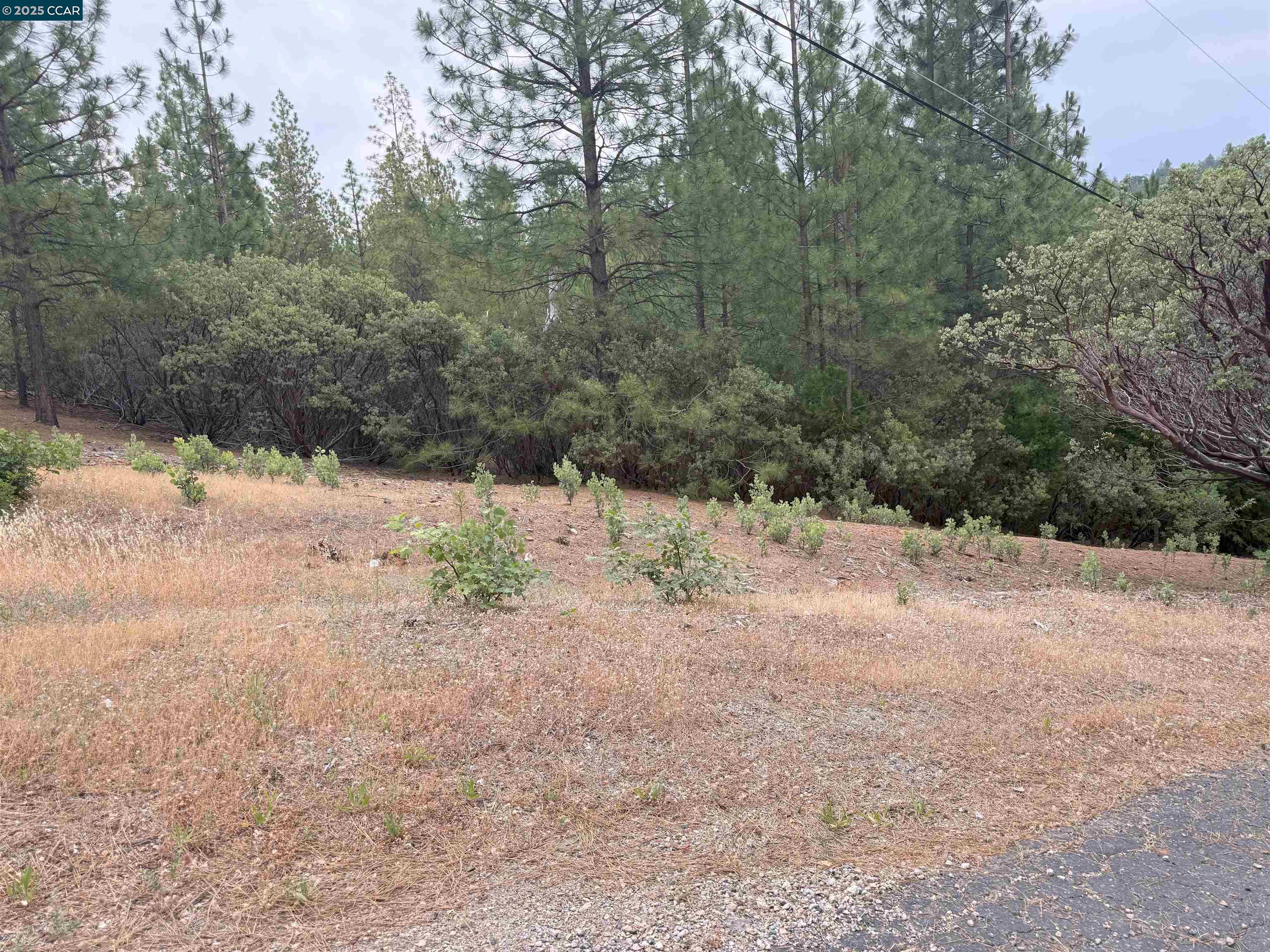 Detail Gallery Image 2 of 3 For 4227 Meadow View Rd, Murphys,  CA 95247 - – Beds | – Baths