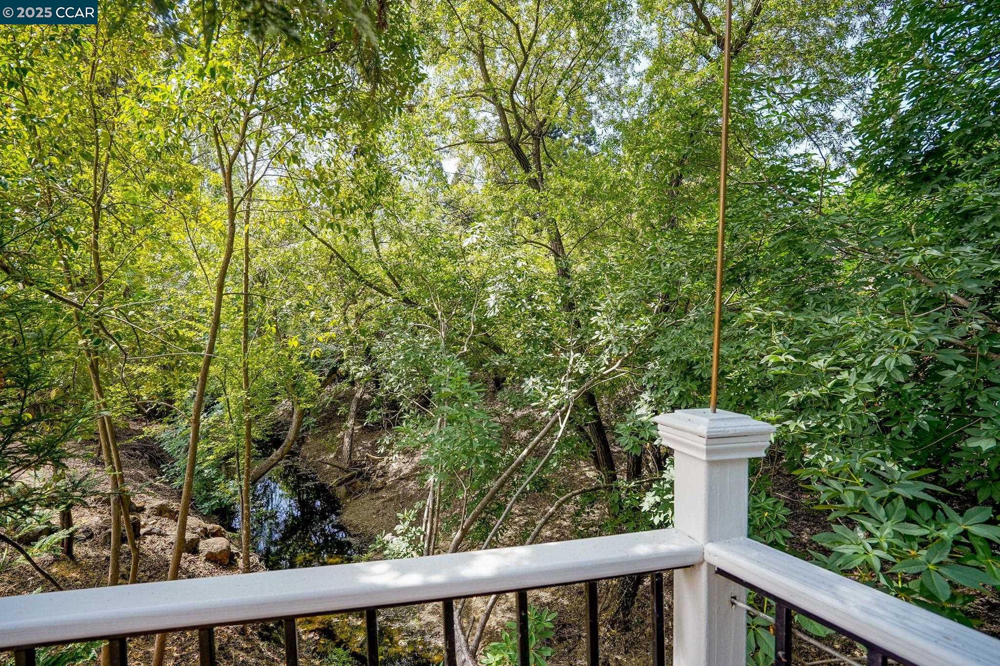 Detail Gallery Image 40 of 48 For 24 Ray Ct, Alamo,  CA 94507 - 4 Beds | 3 Baths