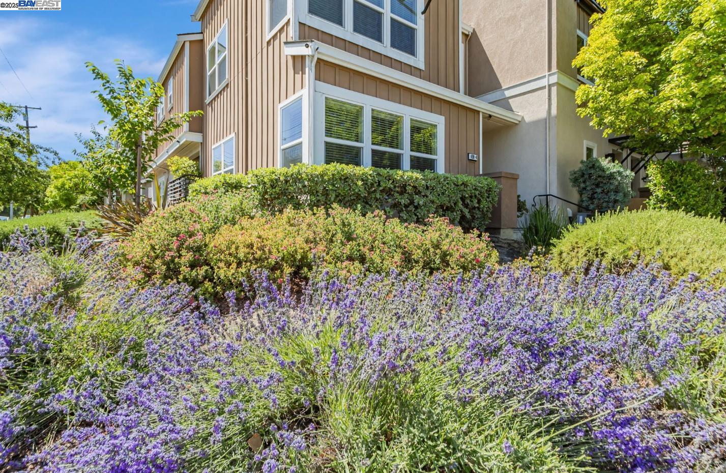 Detail Gallery Image 25 of 34 For 705 Cannery Pl, San Jose,  CA 95112 - 3 Beds | 3/1 Baths