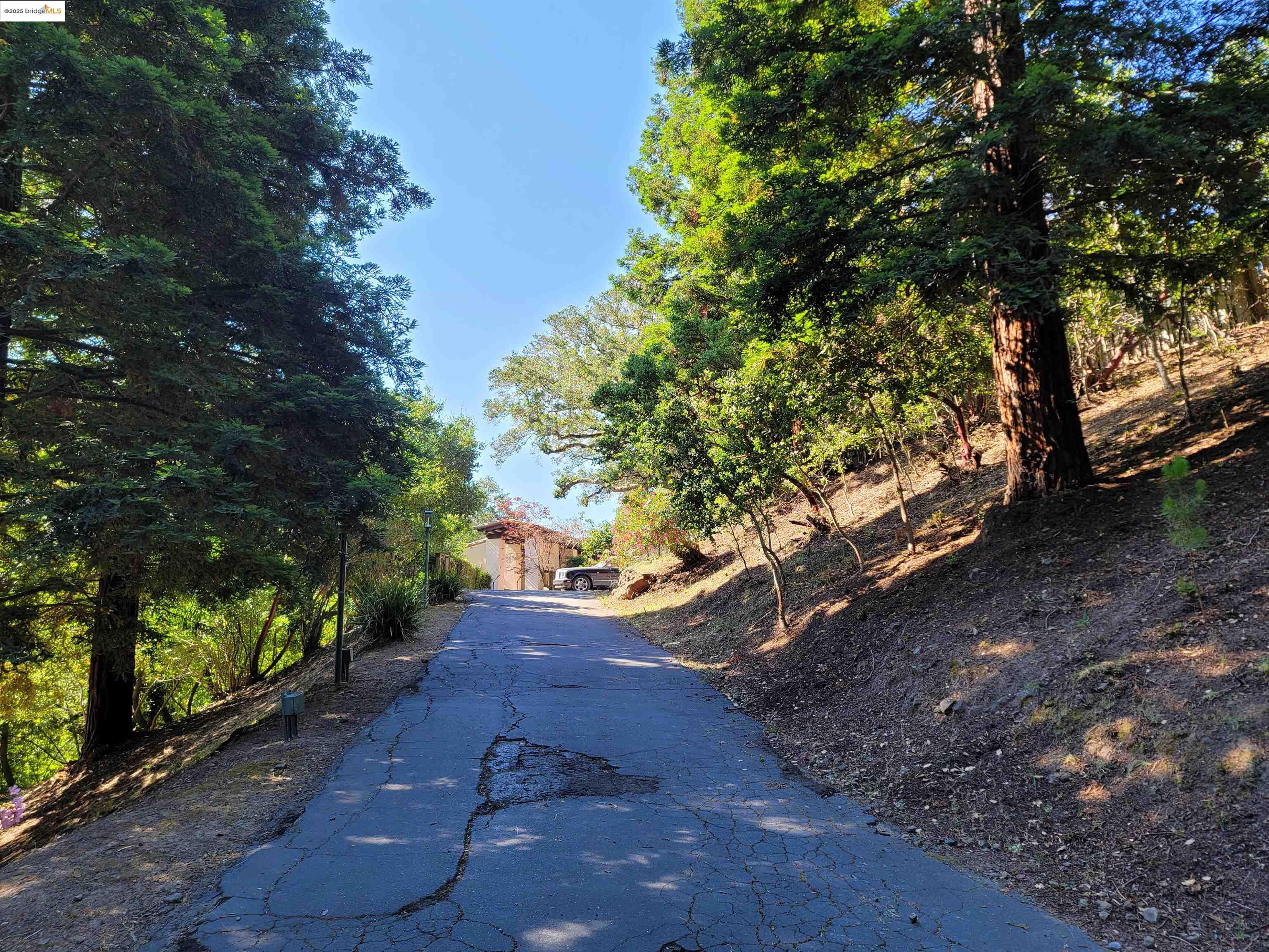 Detail Gallery Image 3 of 59 For 40 Hilldale Ct, Orinda,  CA 94563 - 5 Beds | 4/1 Baths