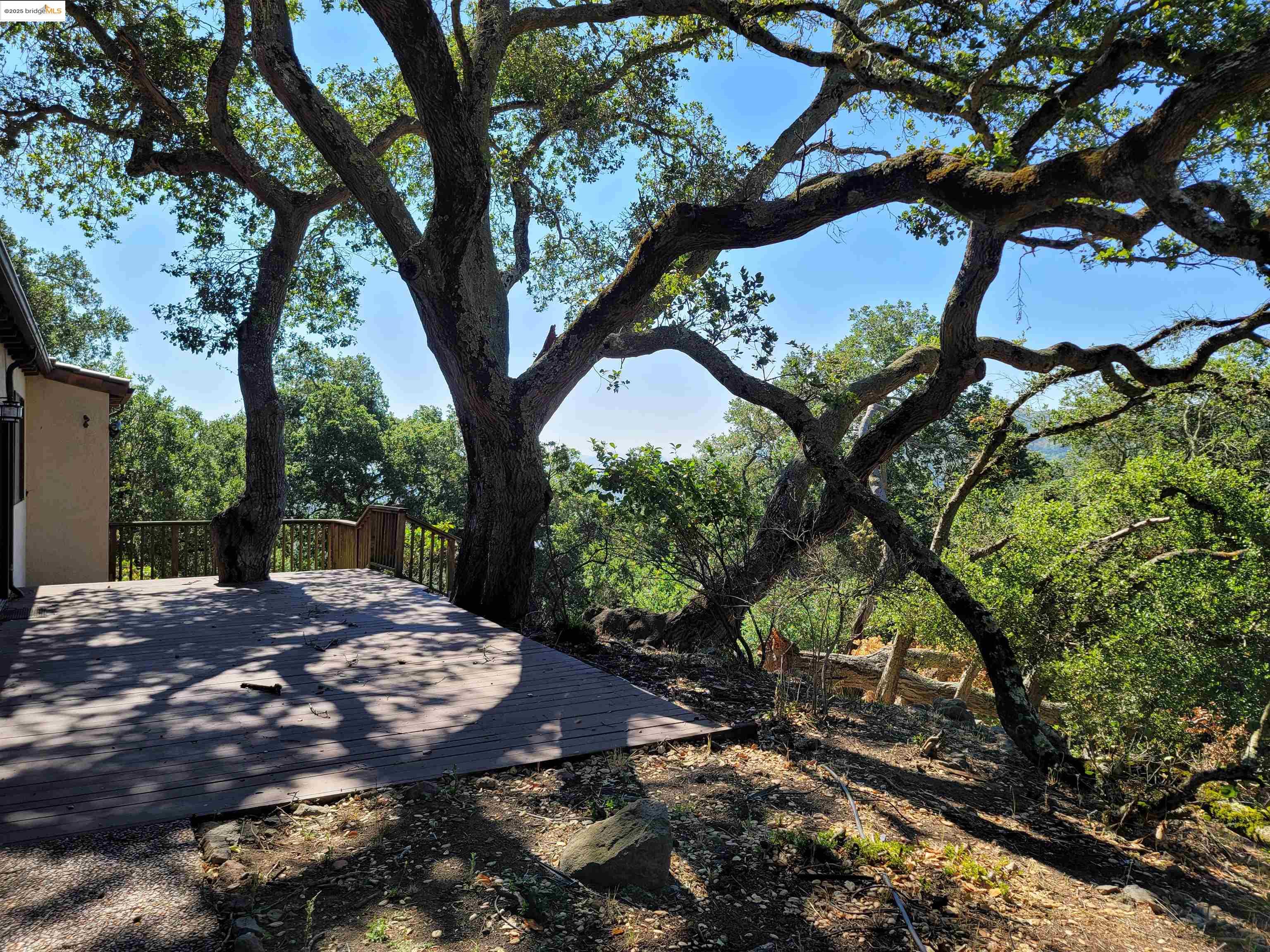 Detail Gallery Image 38 of 59 For 40 Hilldale Ct, Orinda,  CA 94563 - 5 Beds | 4/1 Baths