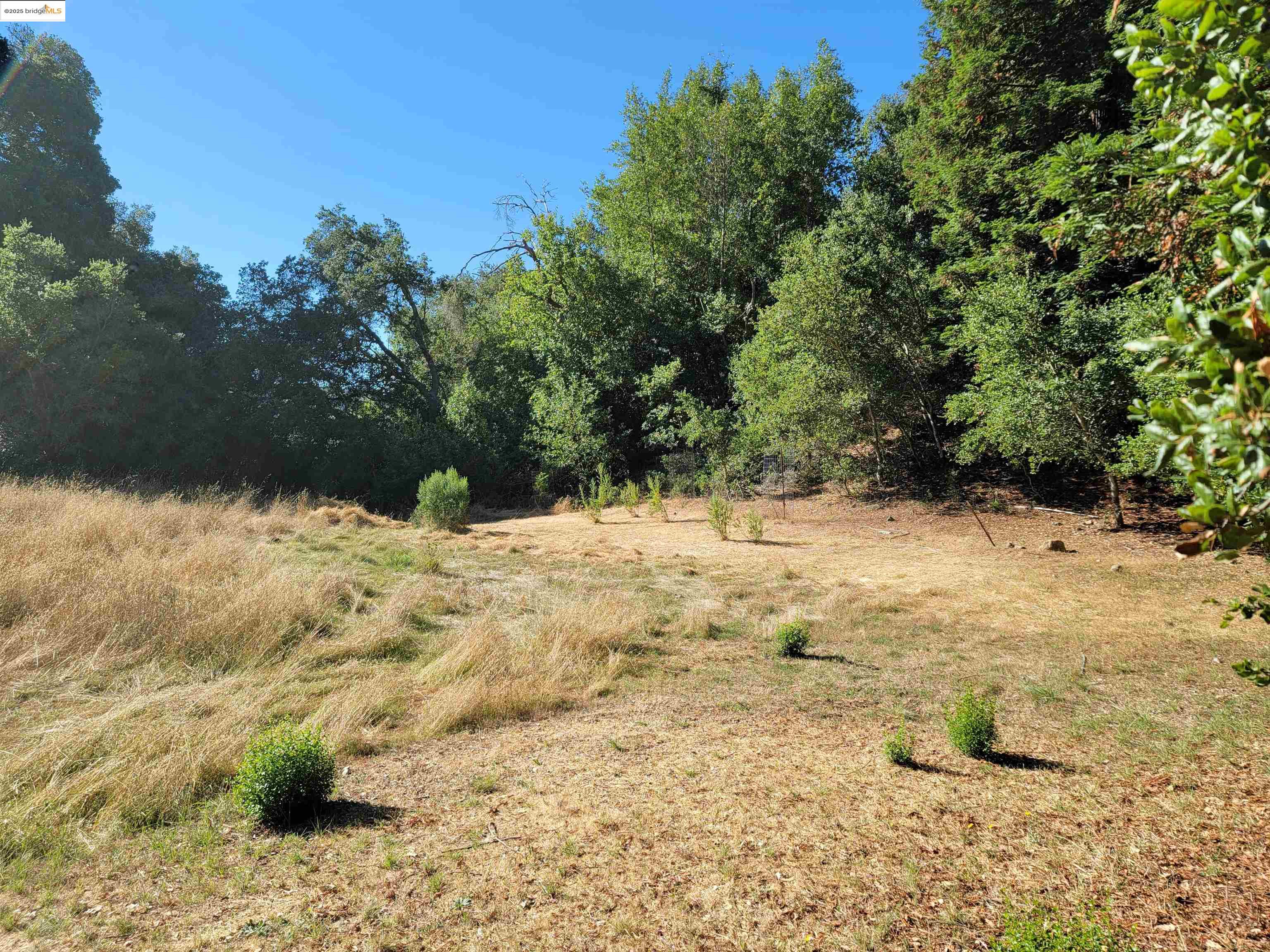 Detail Gallery Image 56 of 59 For 40 Hilldale Ct, Orinda,  CA 94563 - 5 Beds | 4/1 Baths