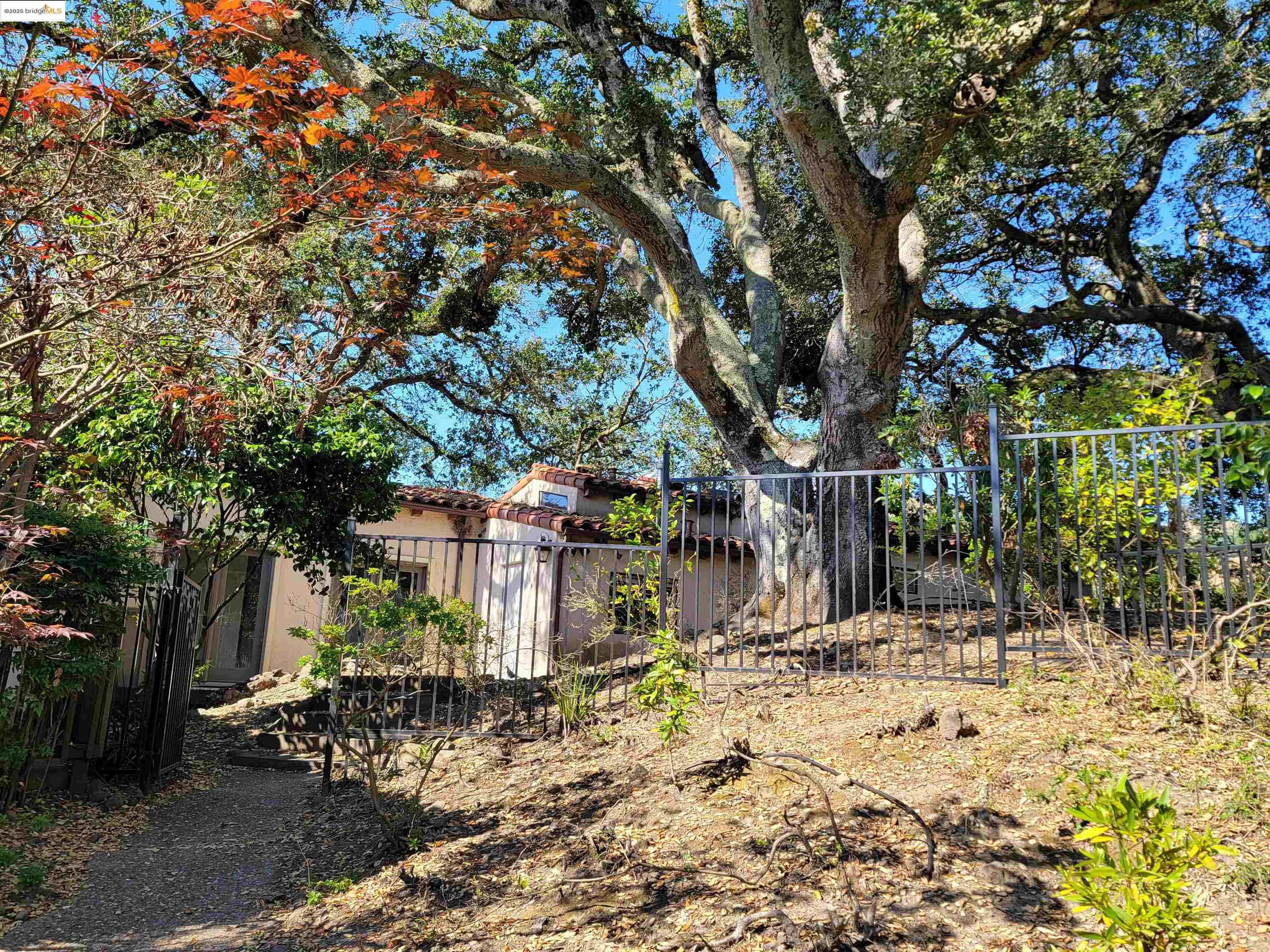 Detail Gallery Image 10 of 59 For 40 Hilldale Ct, Orinda,  CA 94563 - 5 Beds | 4/1 Baths