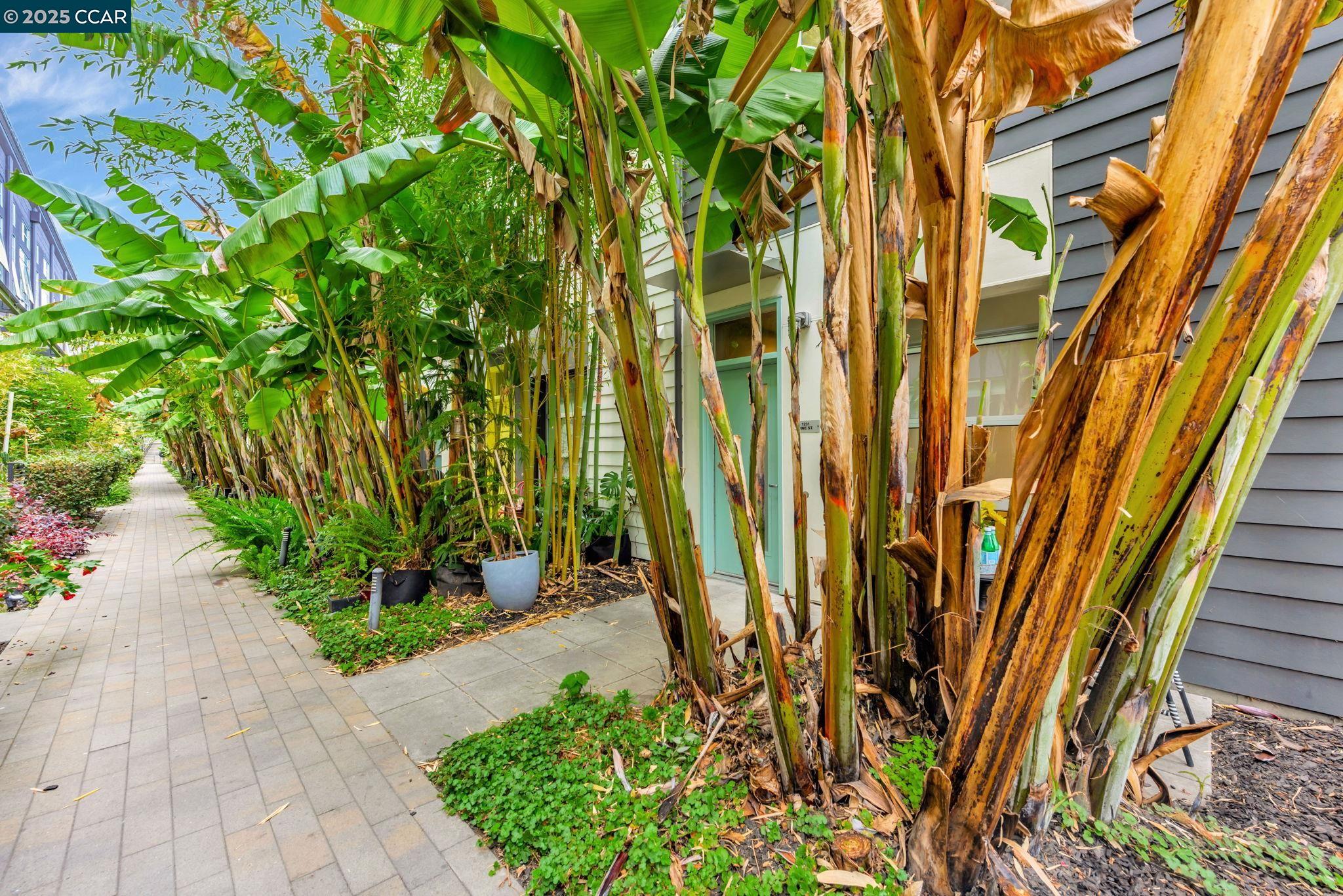 Photo #5: 41102152 Listing 