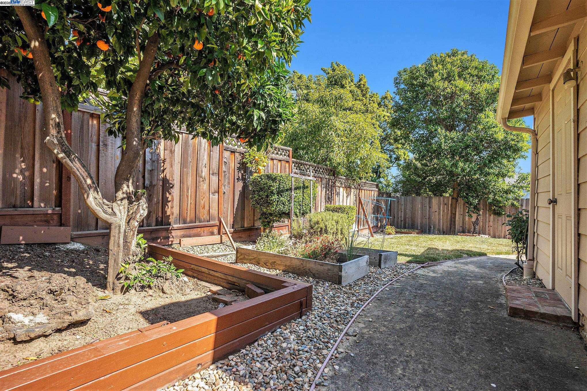 18890 Santa Maria Ave, Castro Valley, California 94546, 3 Bedrooms Bedrooms, 6 Rooms Rooms,2 BathroomsBathrooms,Residential Lease,For Rent,18890 Santa Maria Ave,41102203