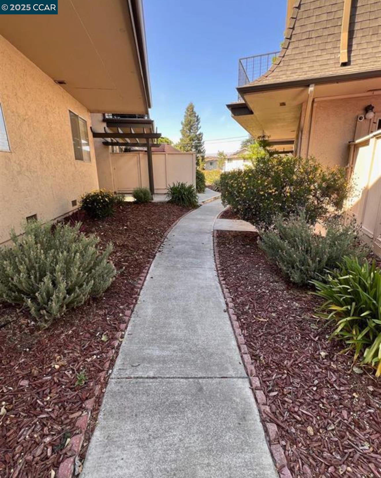 1093 Mohr Ln # C, Concord, California 94518, 3 Bedrooms Bedrooms, 5 Rooms Rooms,2 BathroomsBathrooms,Residential Lease,For Rent,1093 Mohr Ln # C,41102205