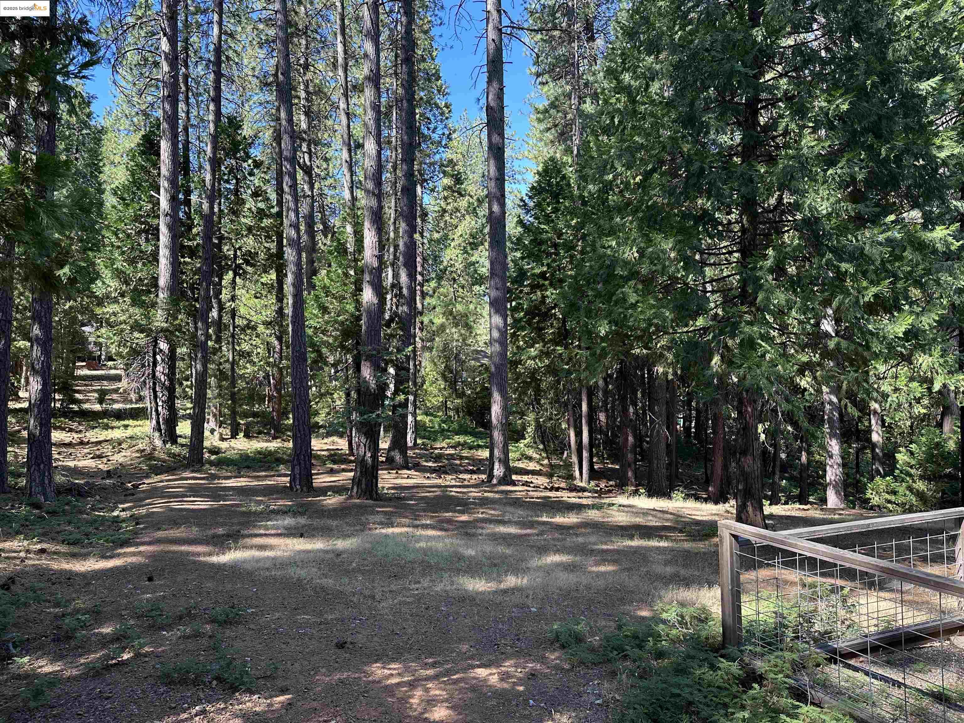 Detail Gallery Image 18 of 27 For 2142 El Dorado, Arnold,  CA 95223 - 3 Beds | 2 Baths